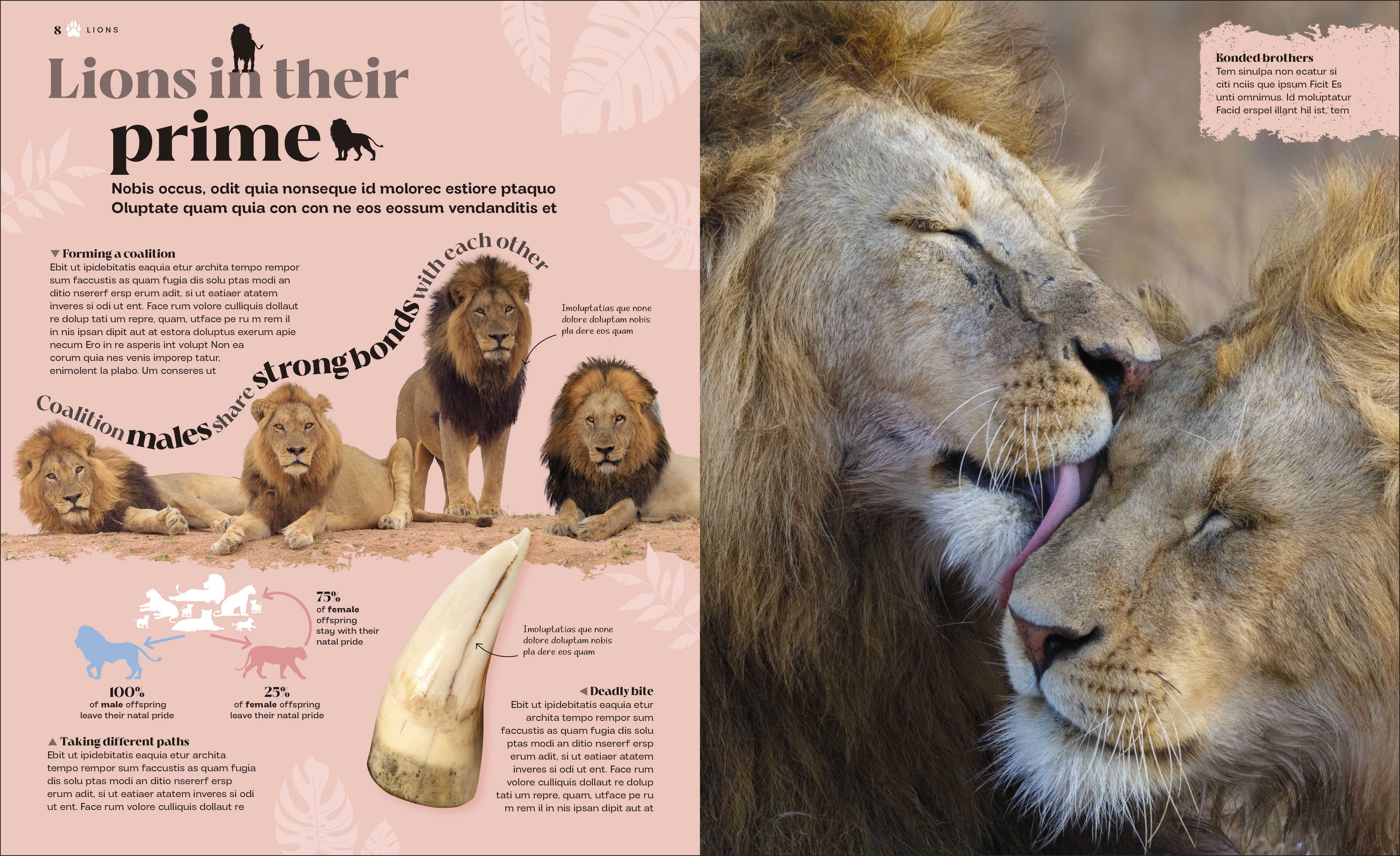 additional book photo