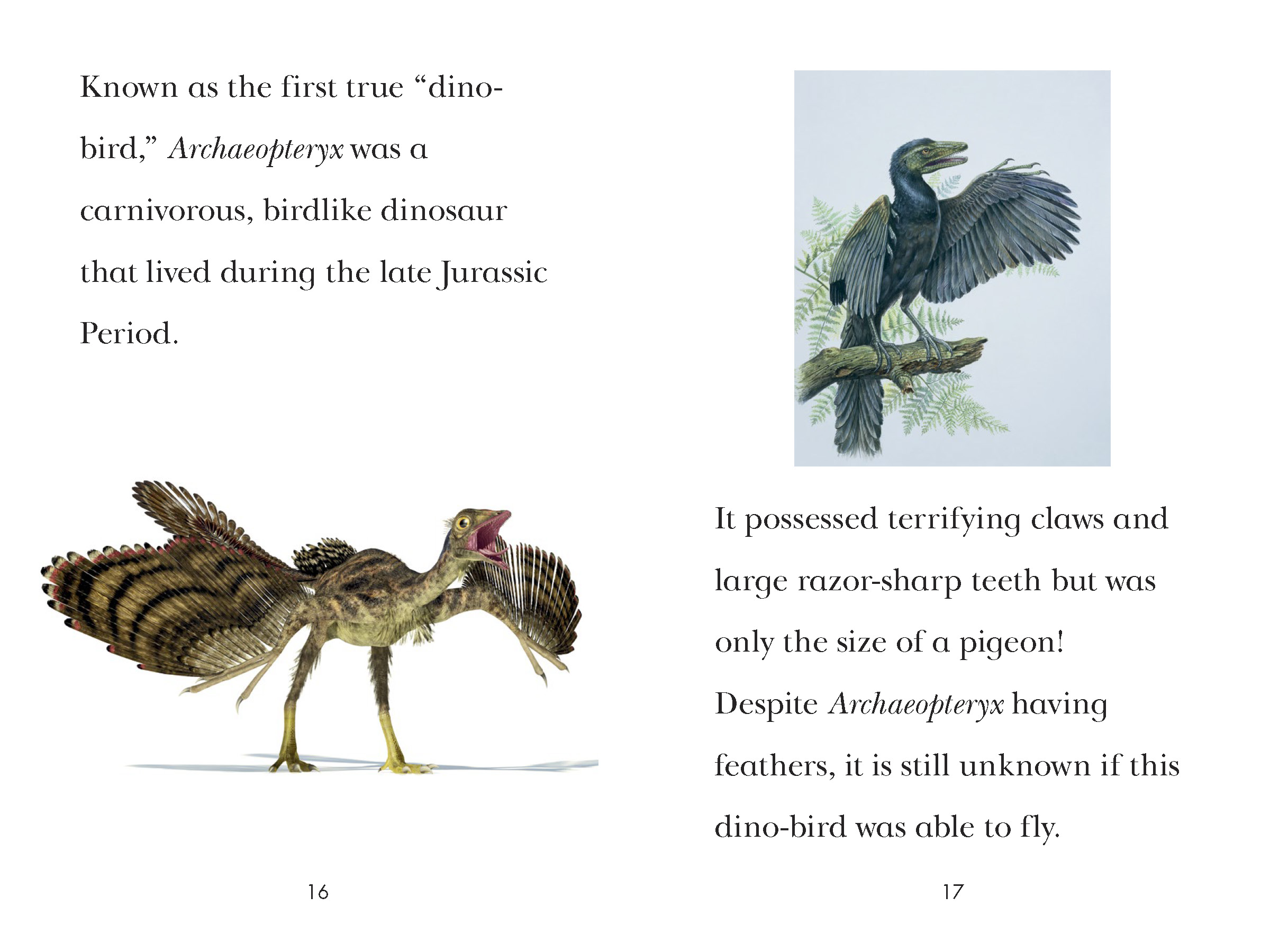 additional book photo