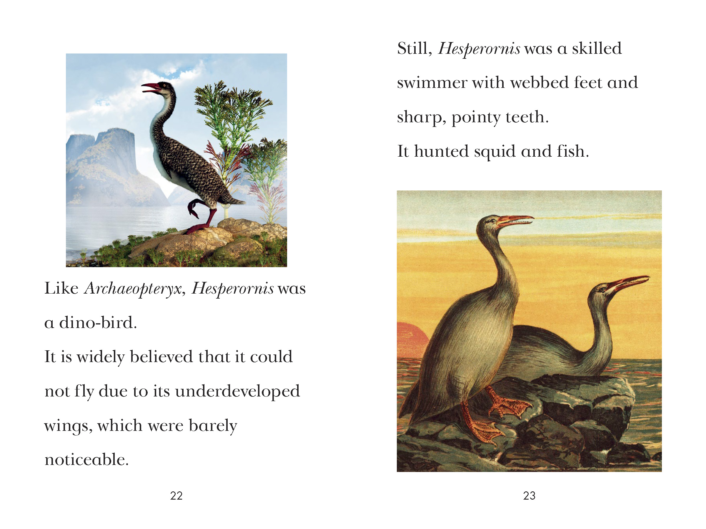 additional book photo