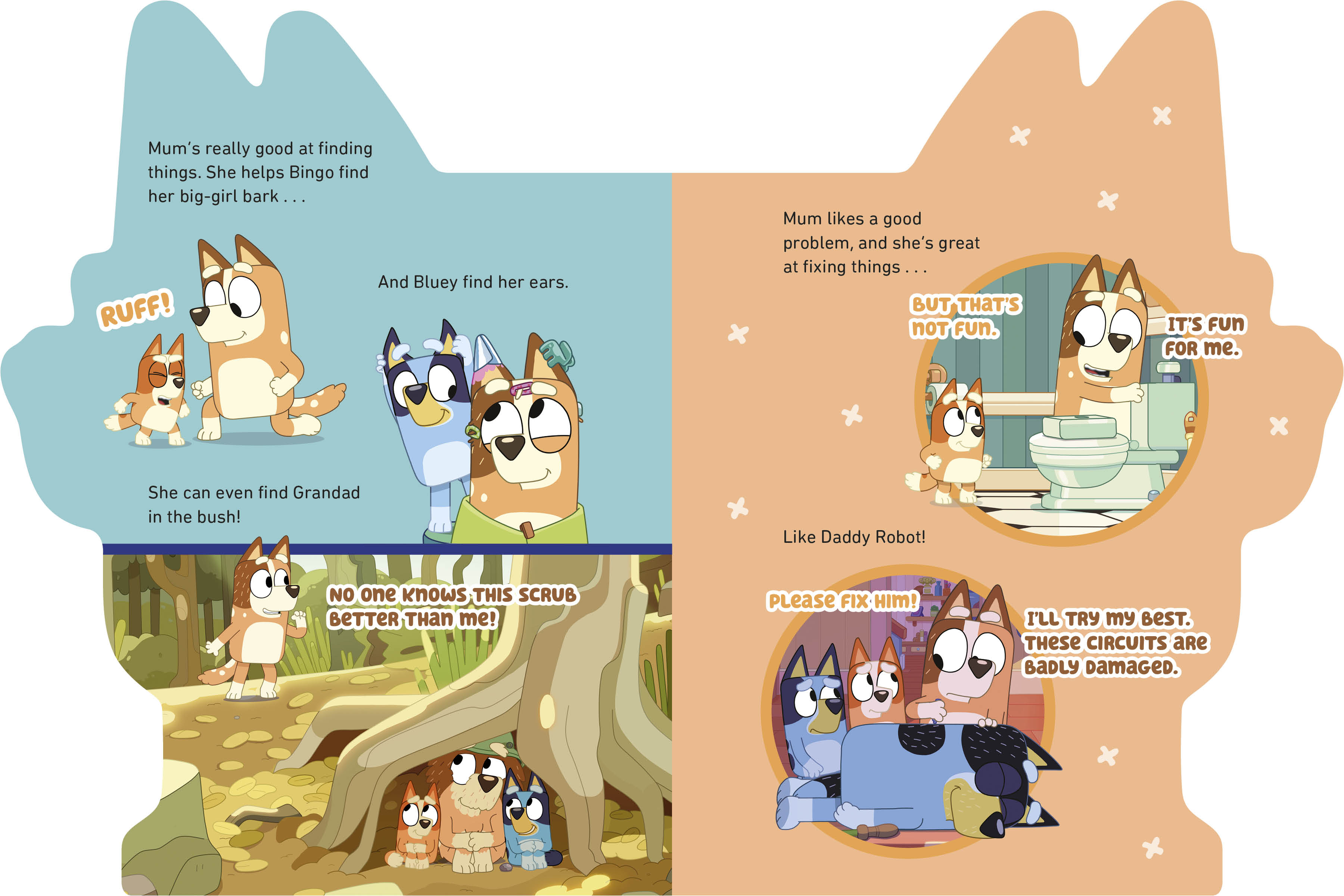 additional book photo