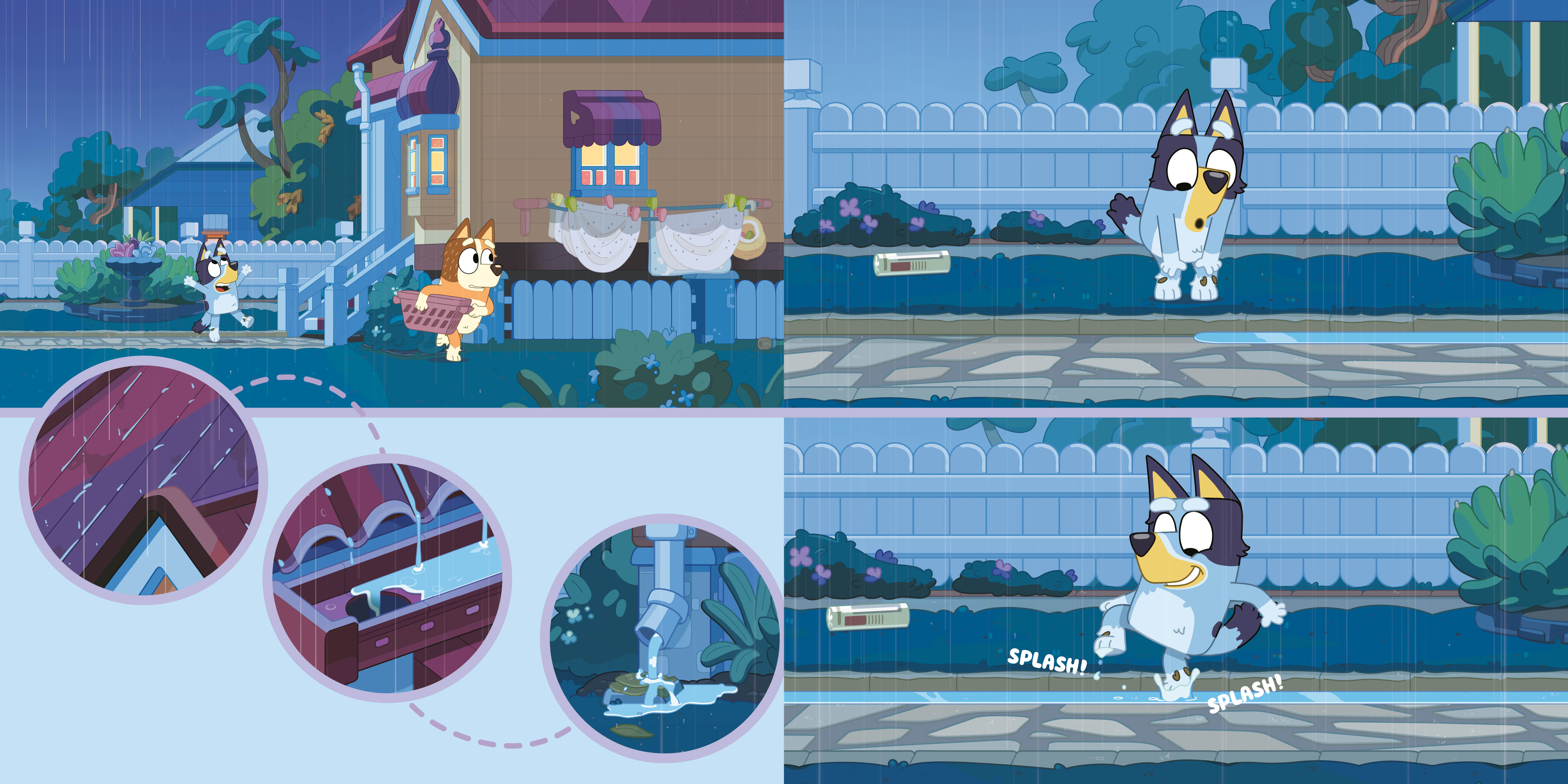 additional book photo