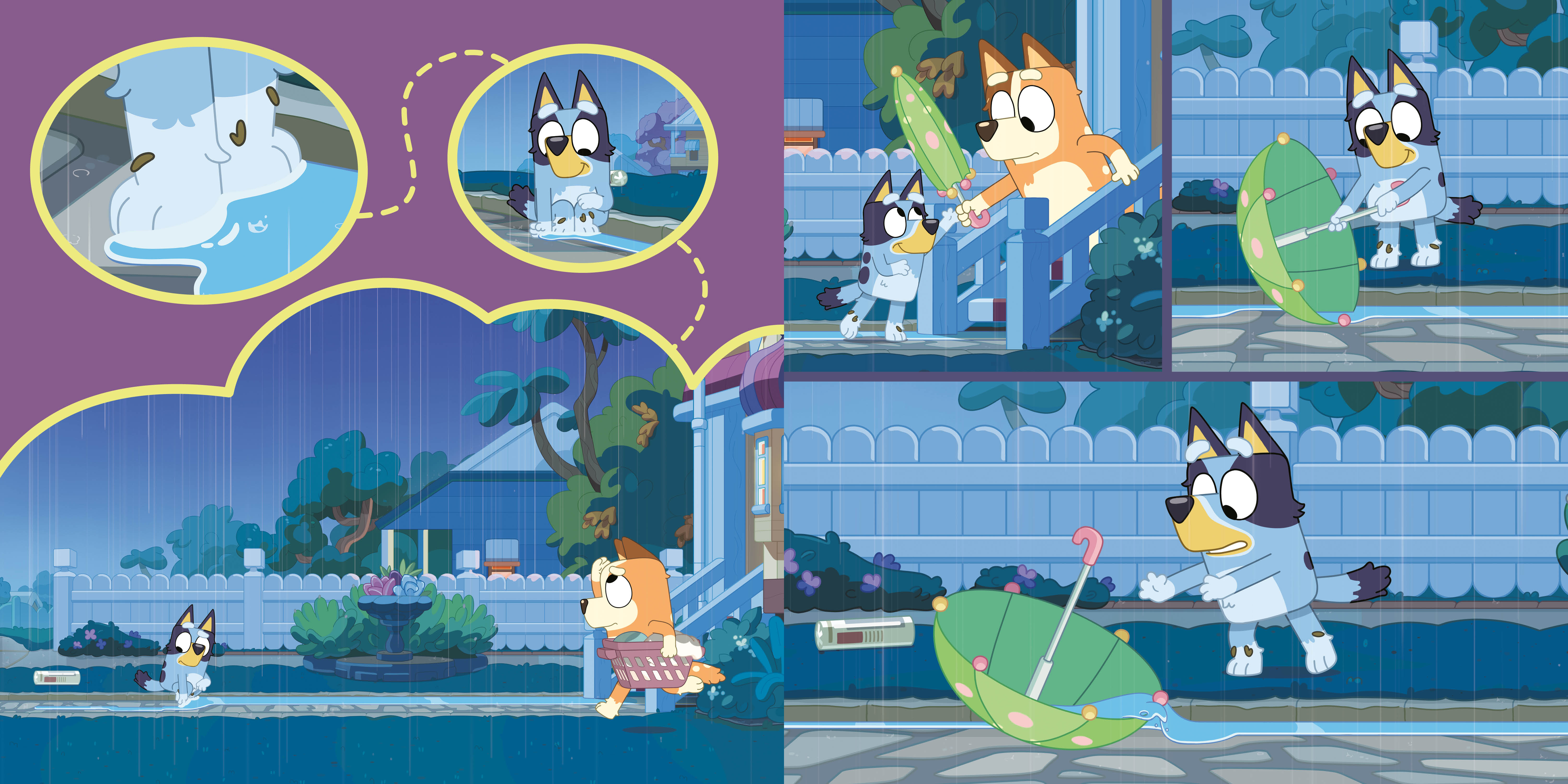 additional book photo