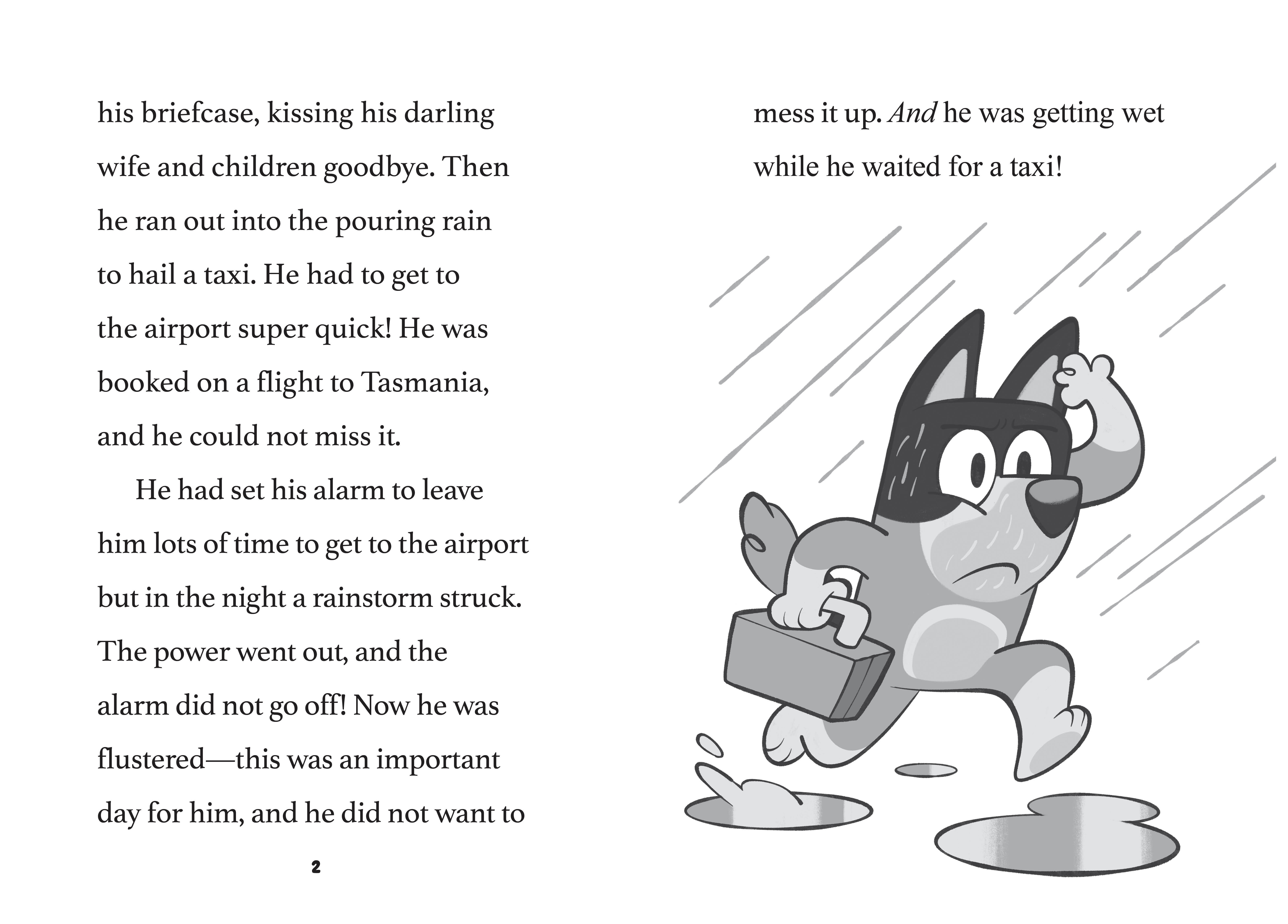 additional book photo