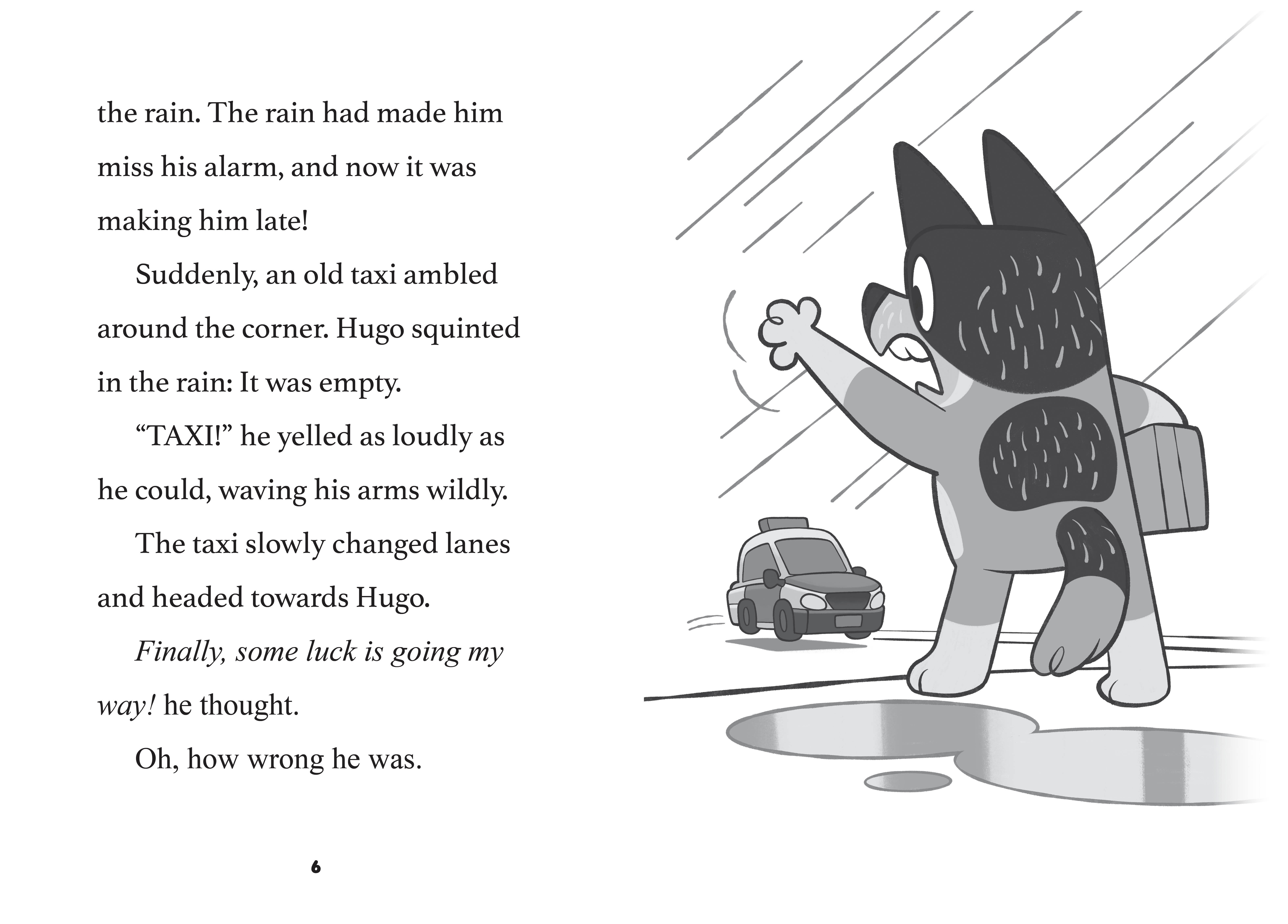 additional book photo