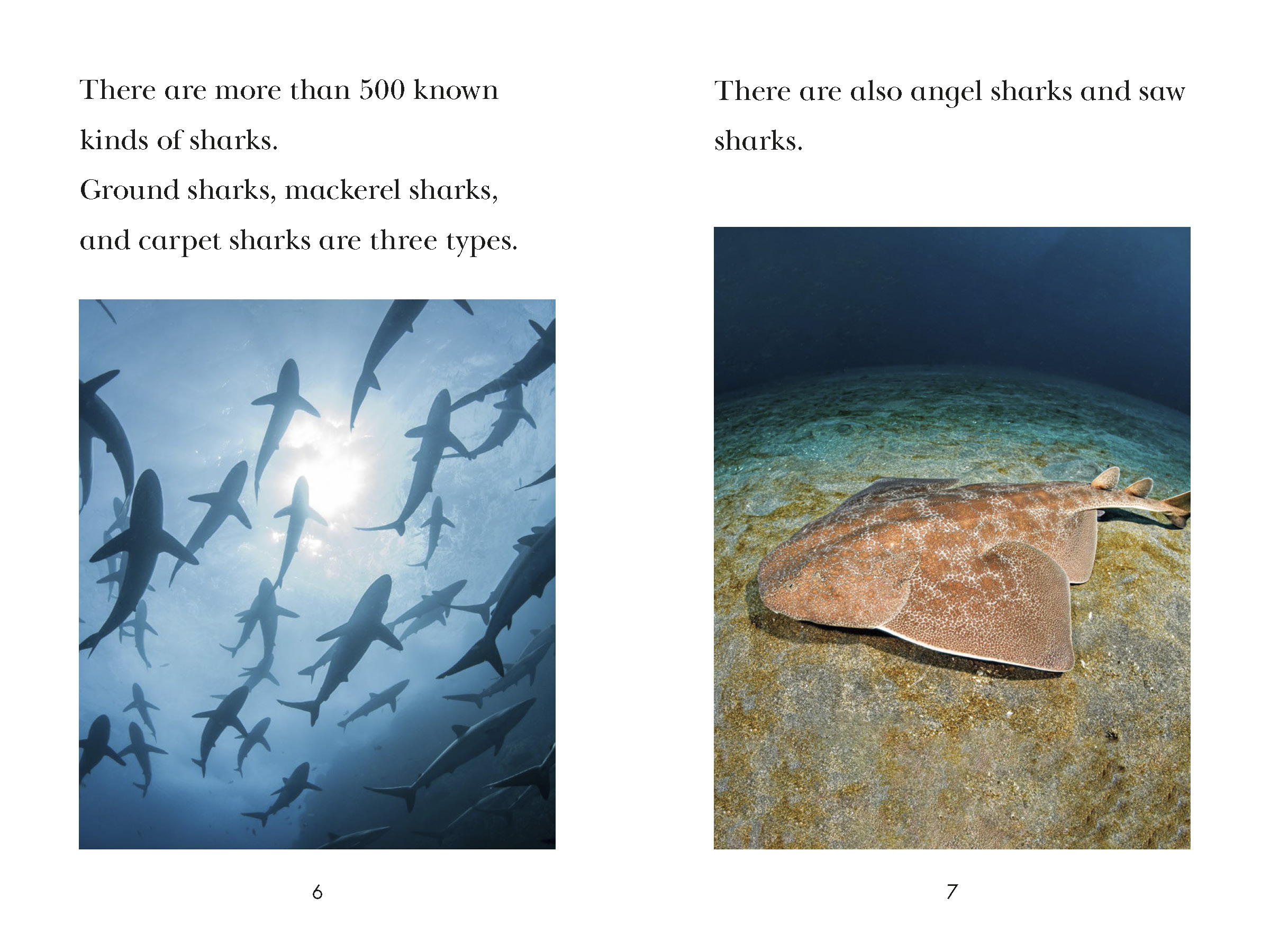 additional book photo