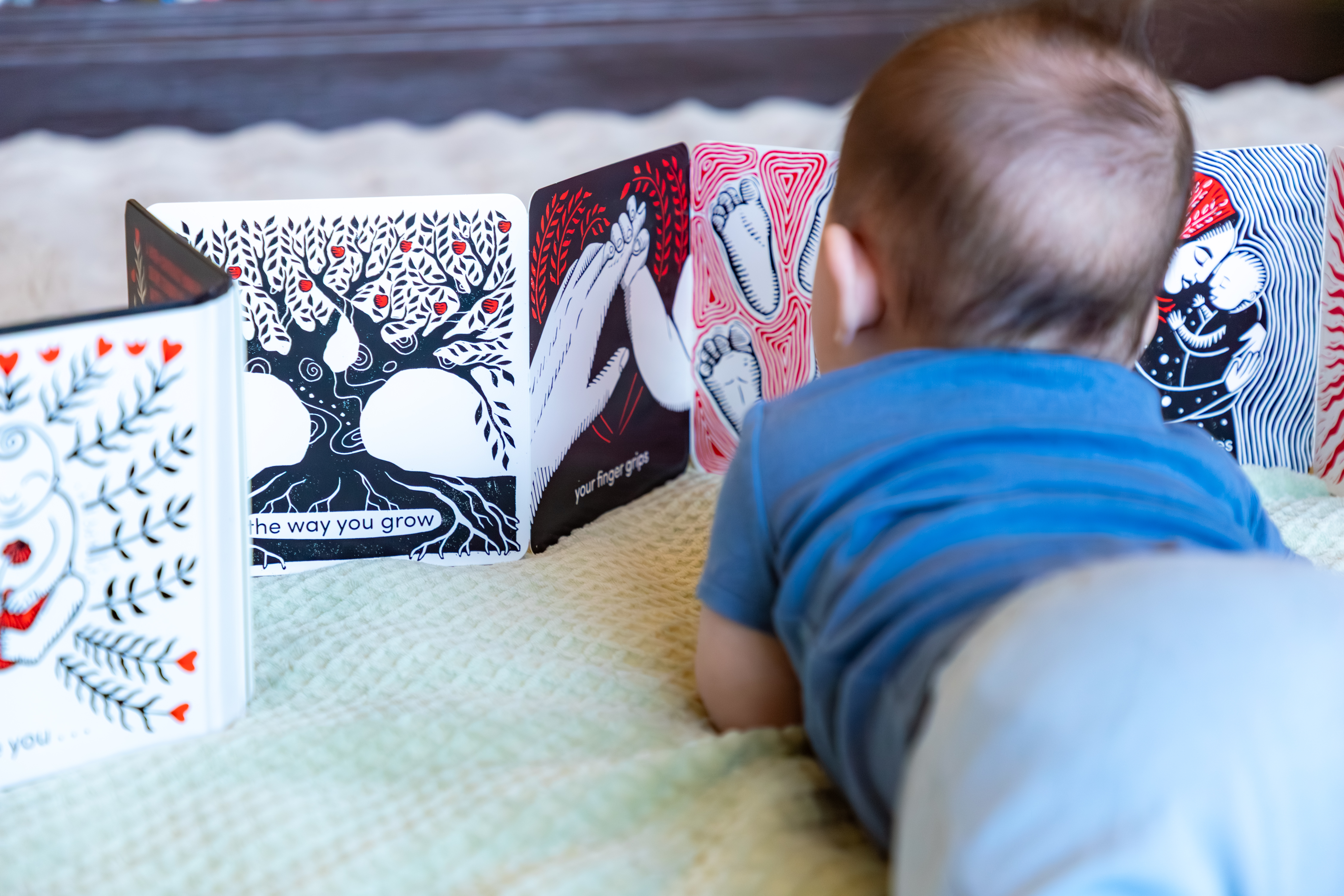 additional book photo