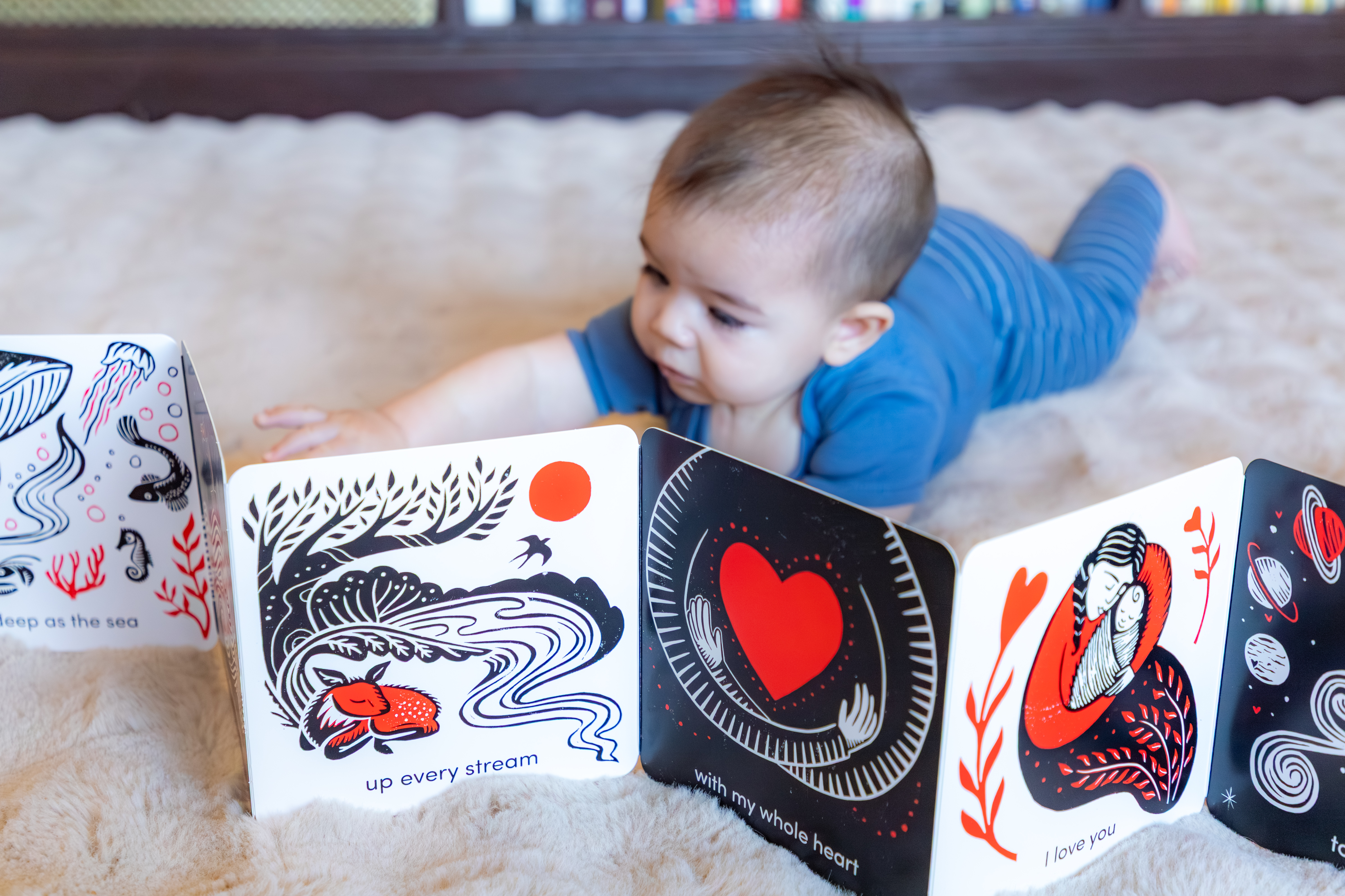 additional book photo