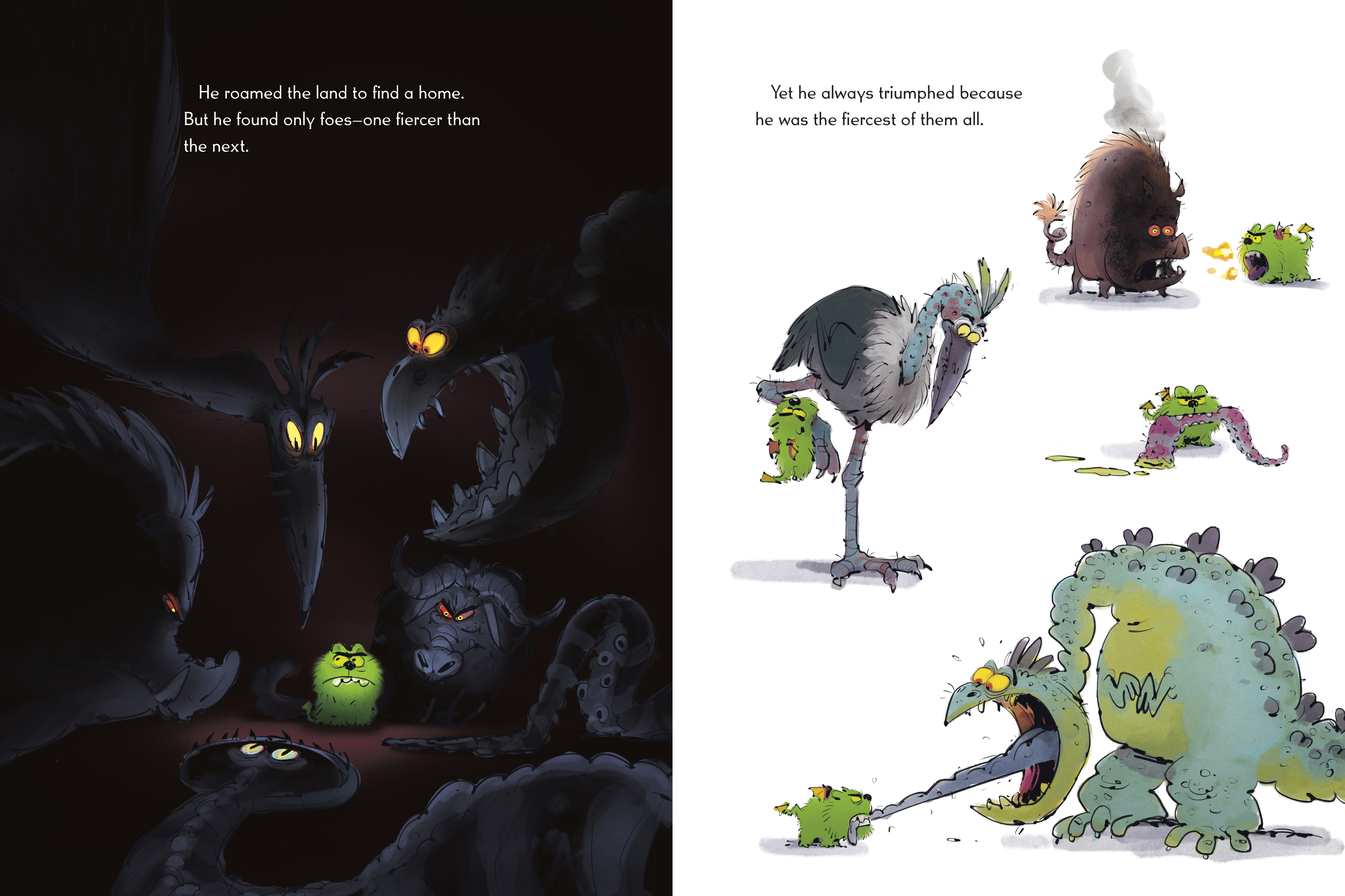 additional book photo