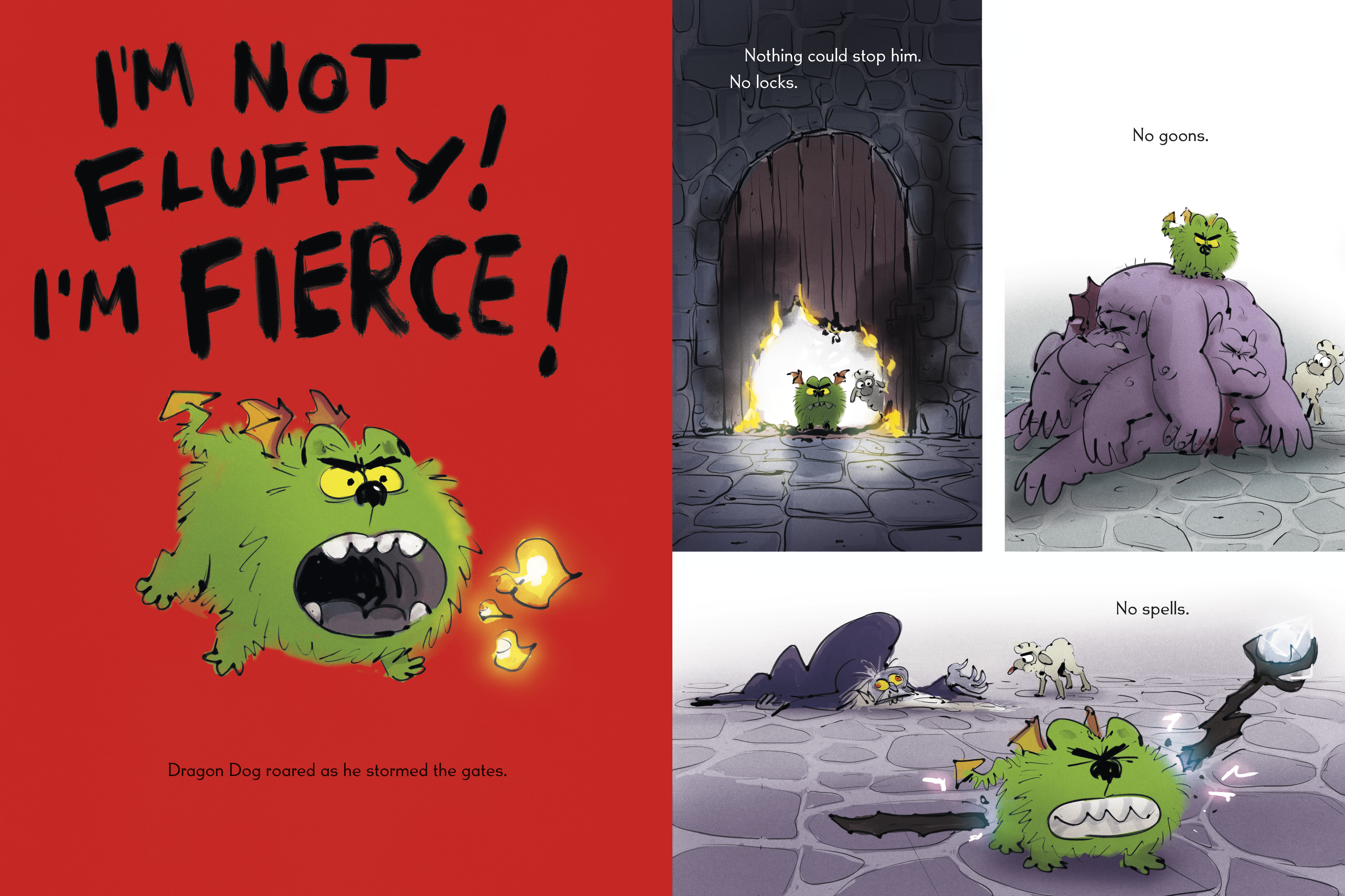 additional book photo