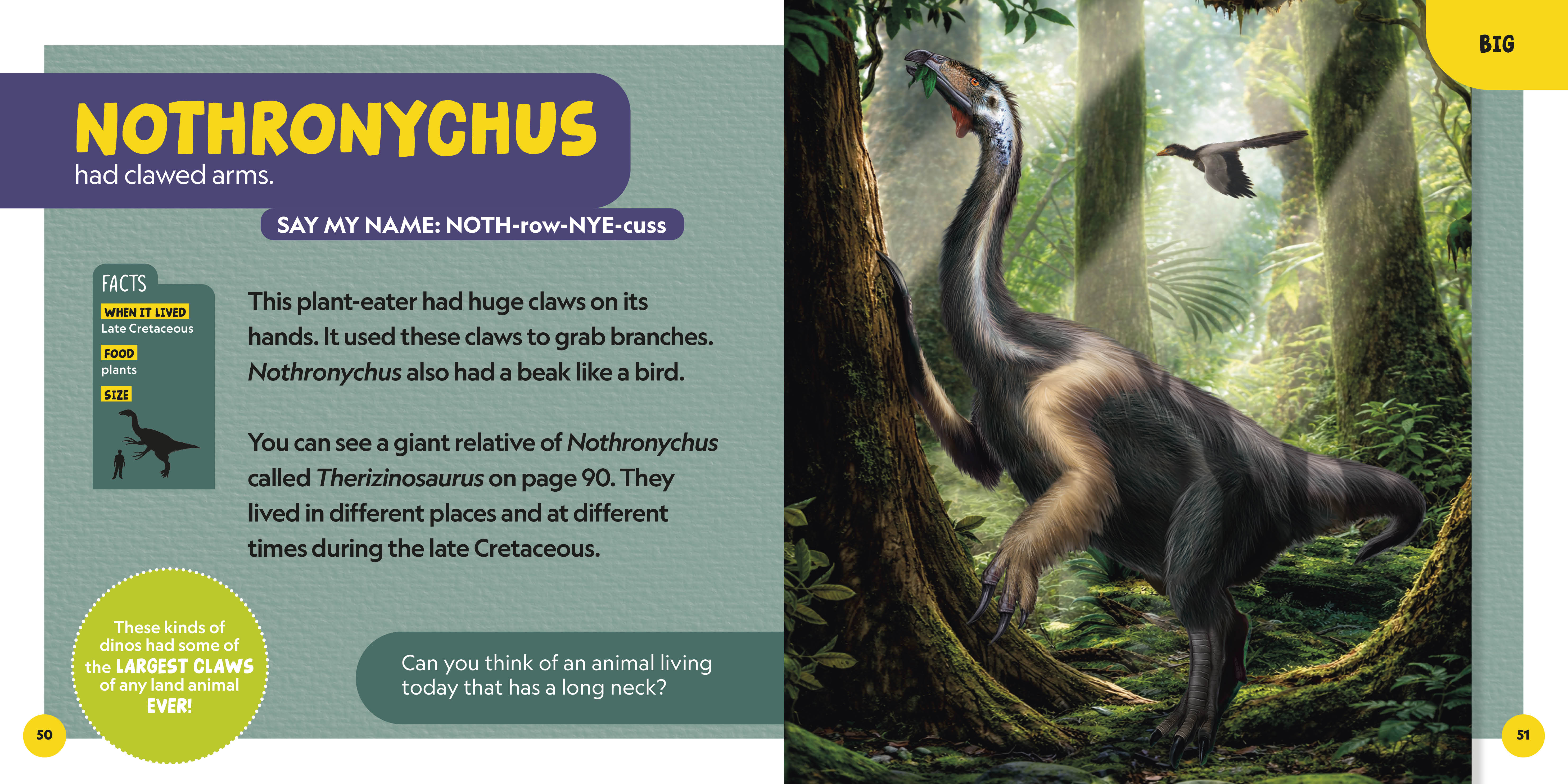 additional book photo
