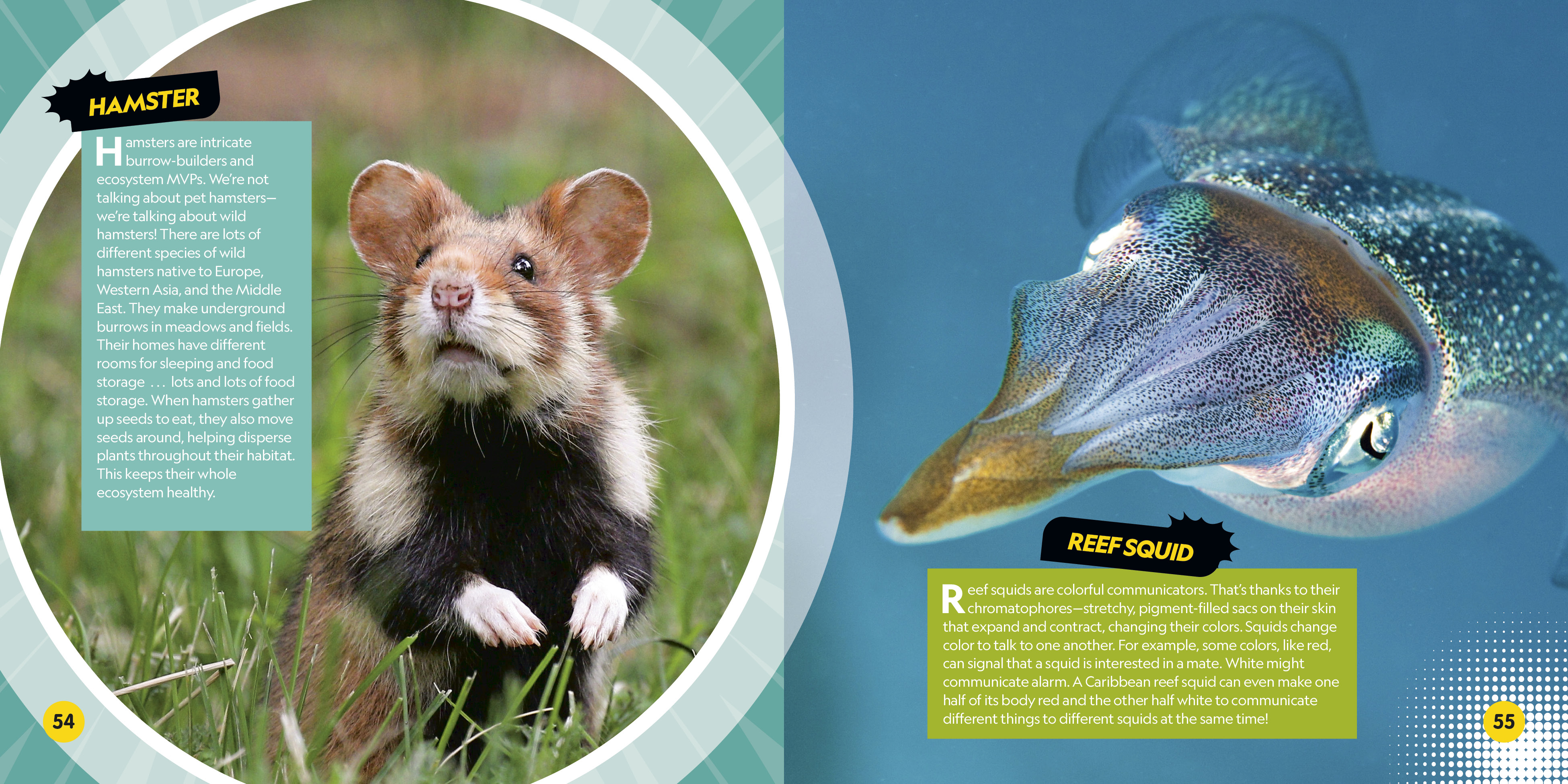 additional book photo