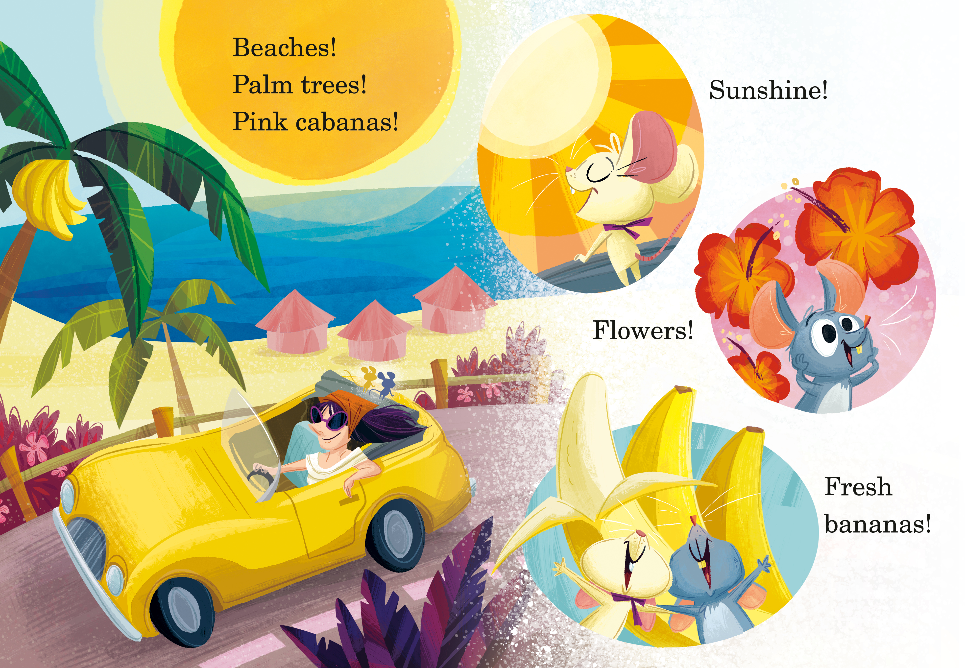 additional book photo