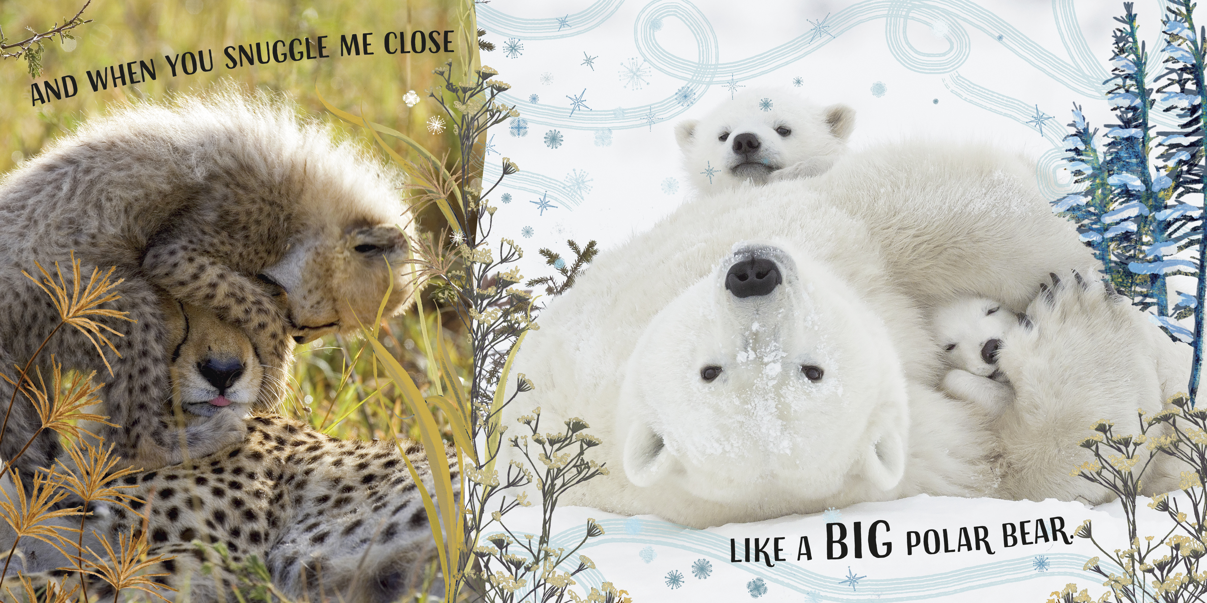 additional book photo