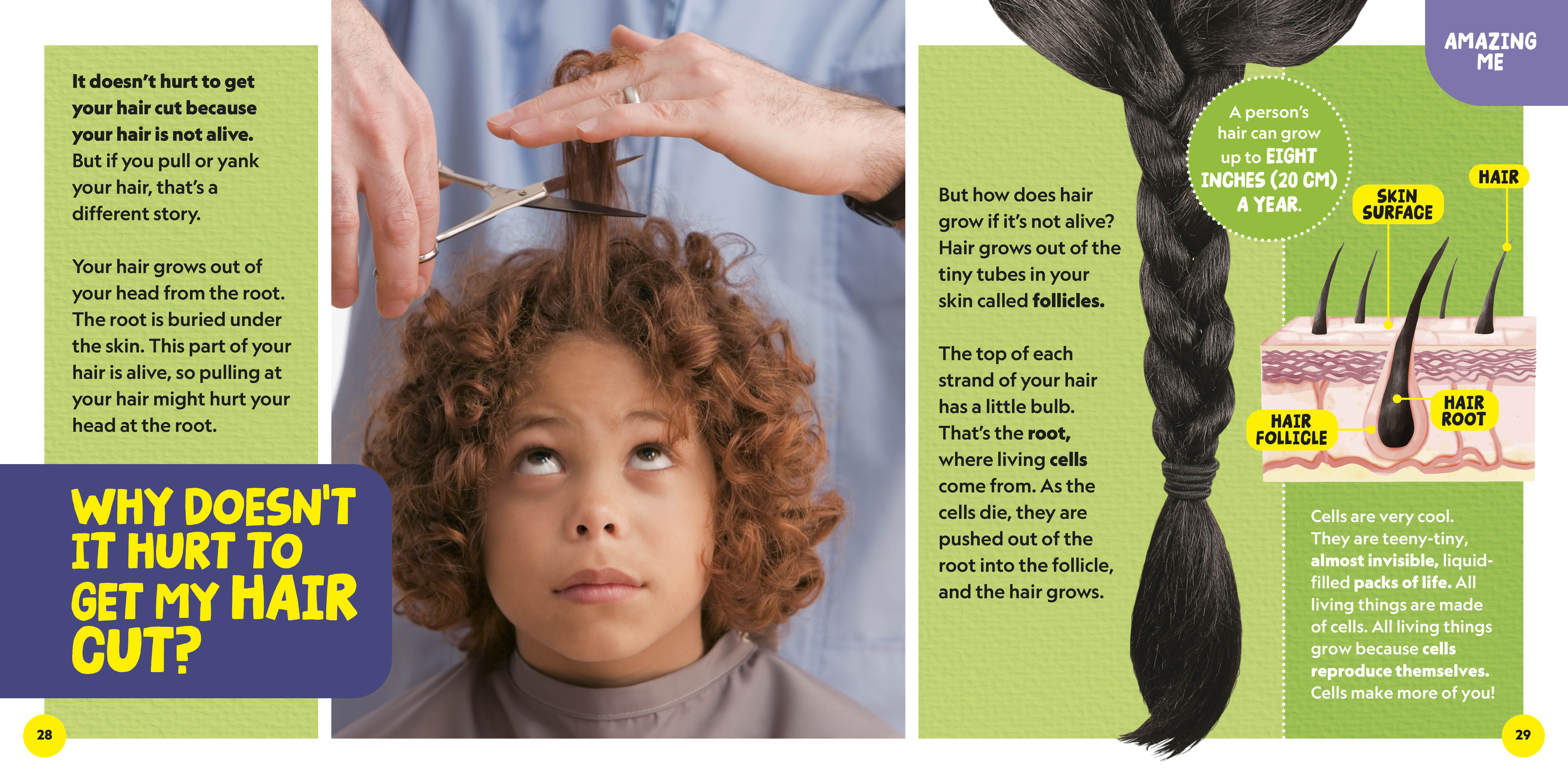 additional book photo