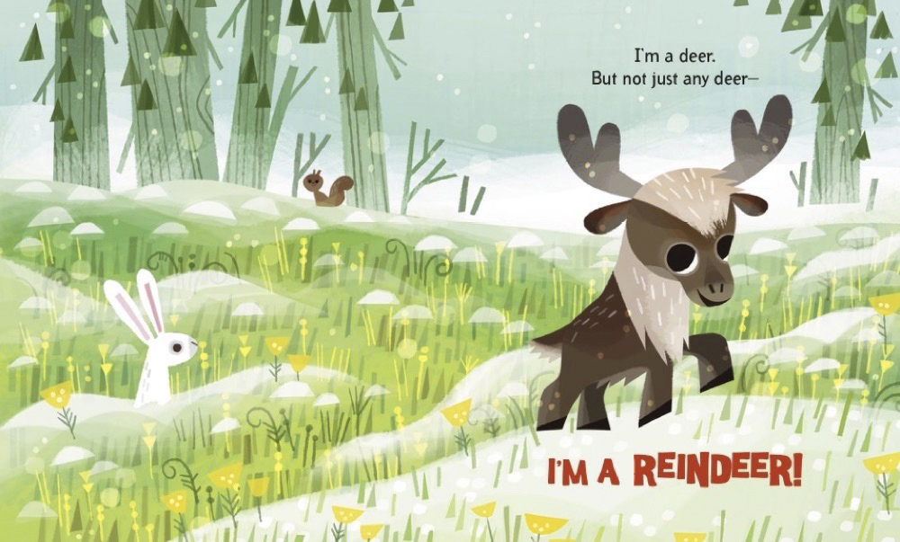 additional book photo