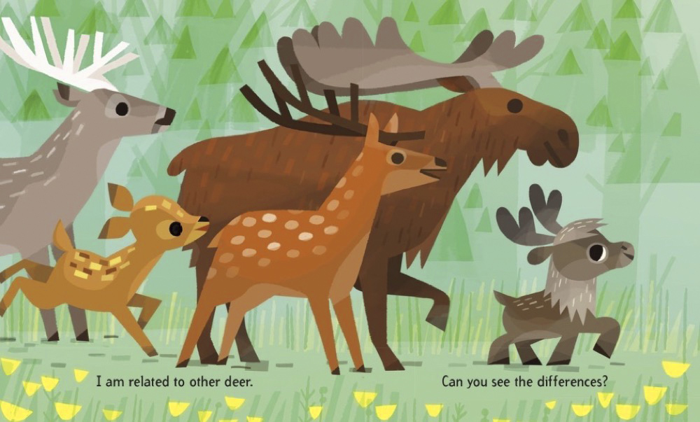 additional book photo