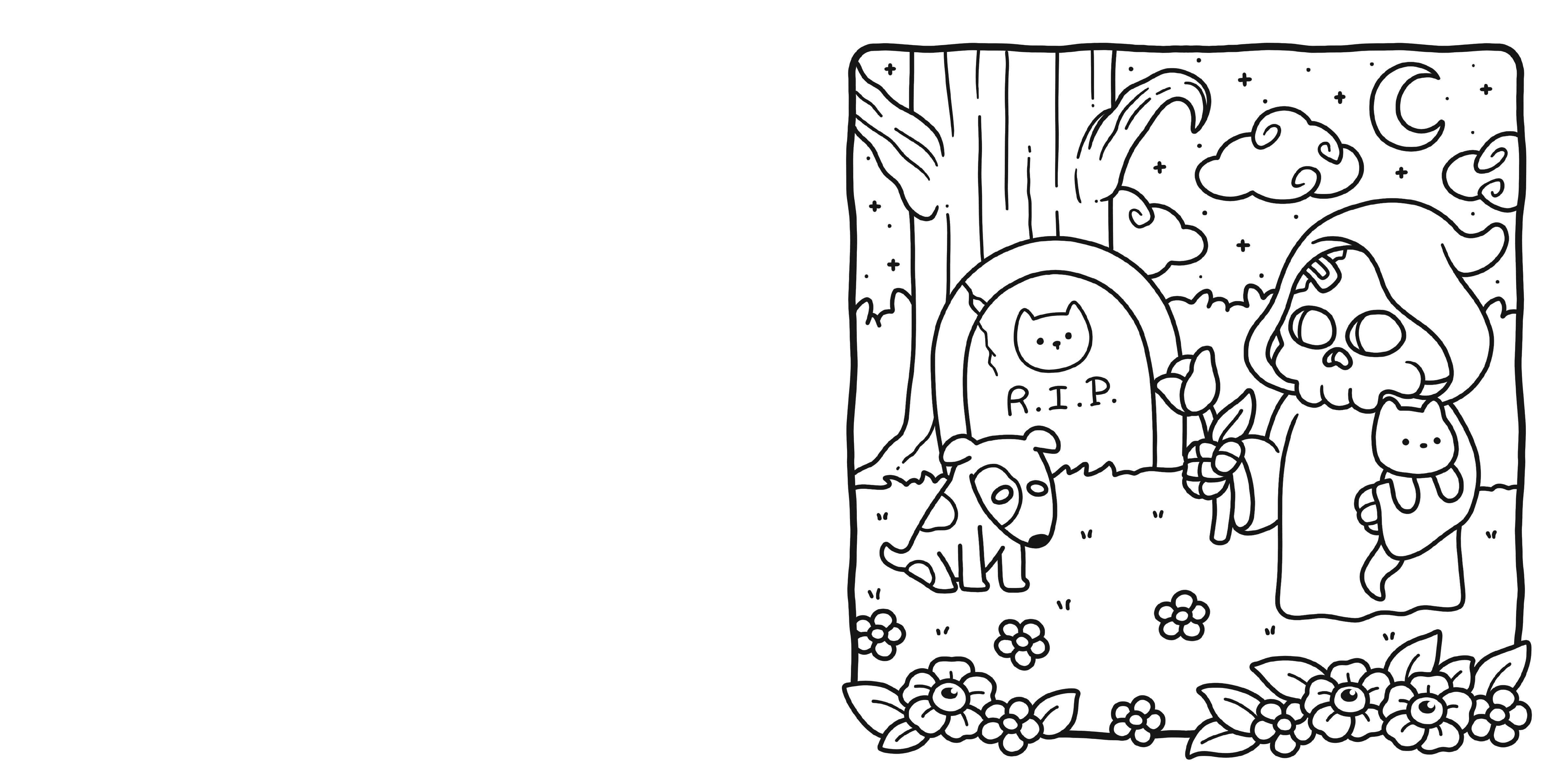 additional book photo