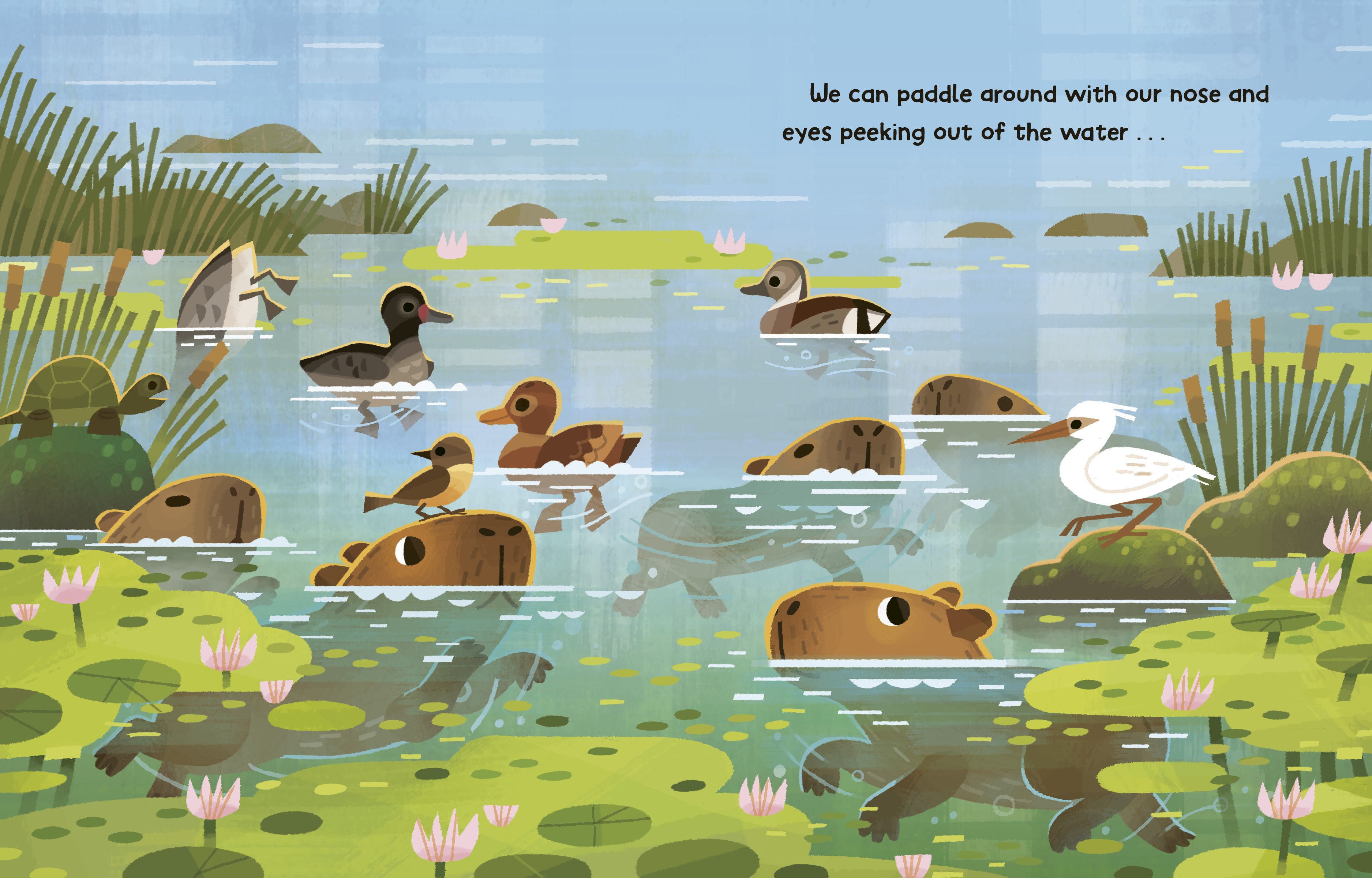 additional book photo