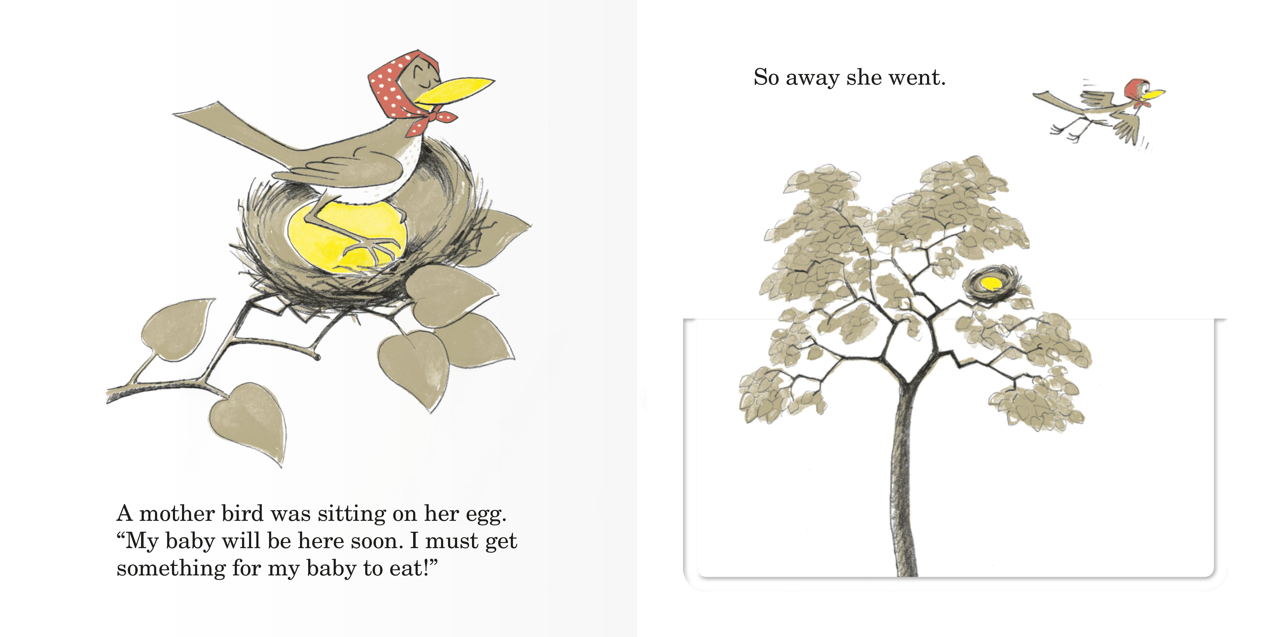 additional book photo