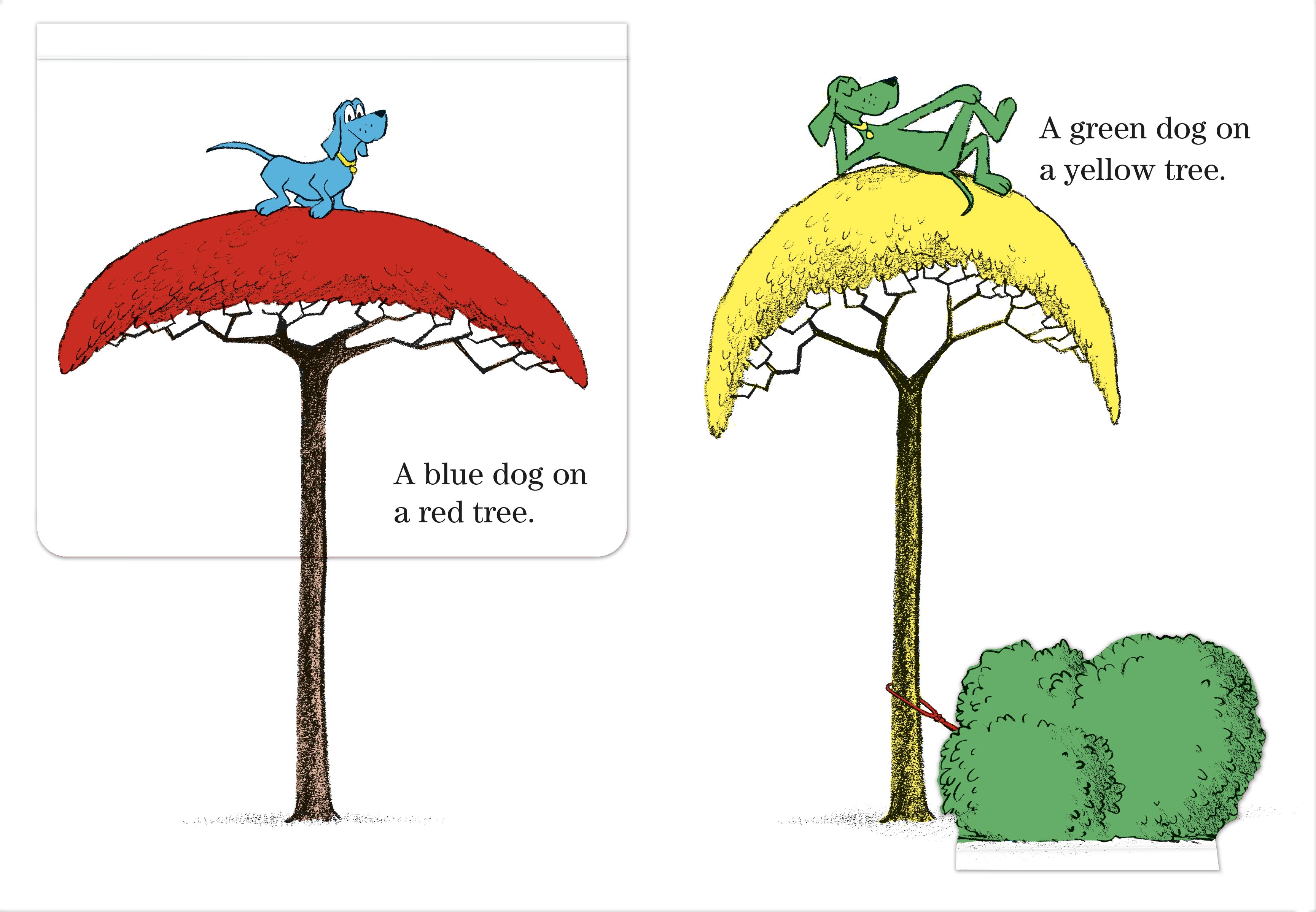 additional book photo