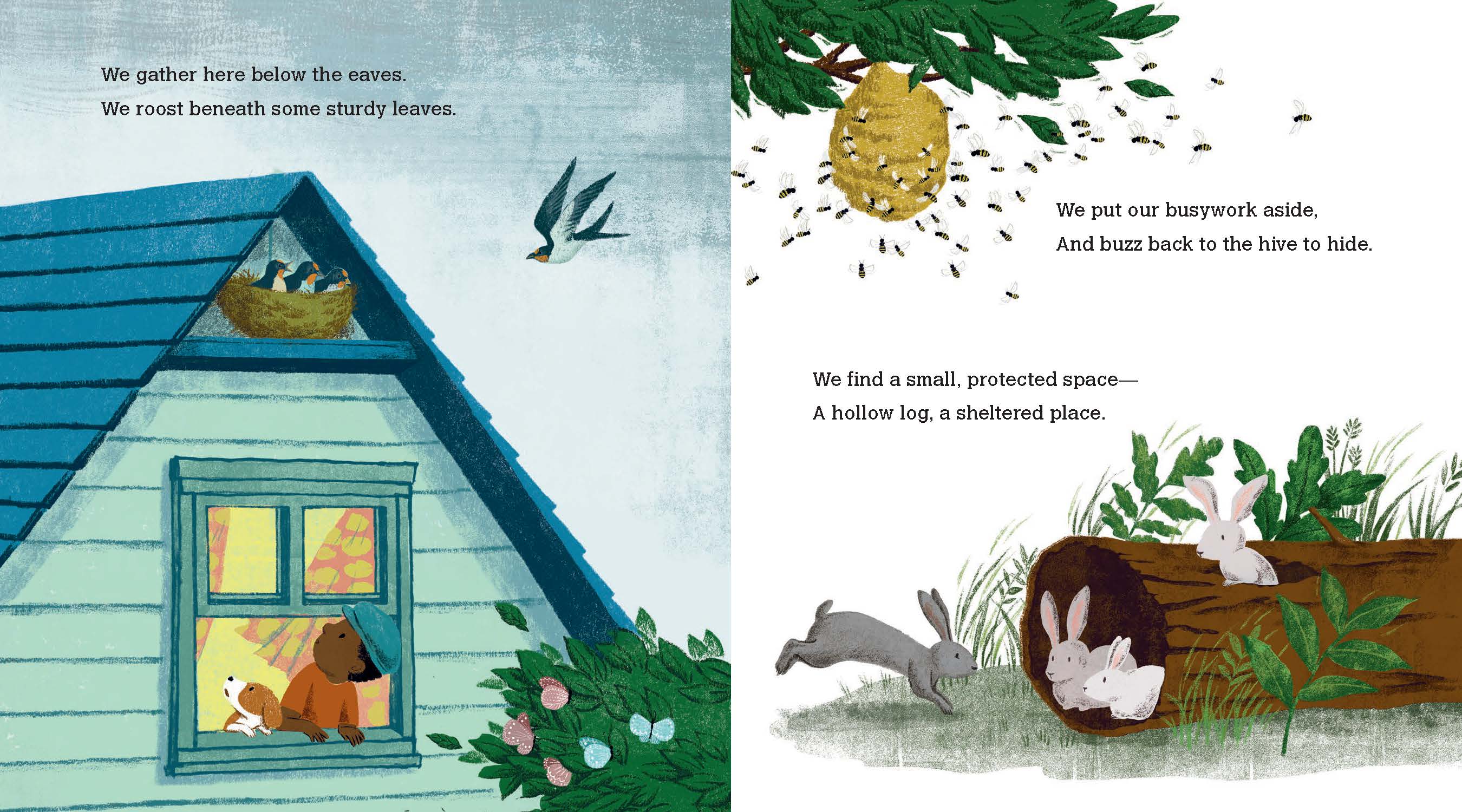 additional book photo