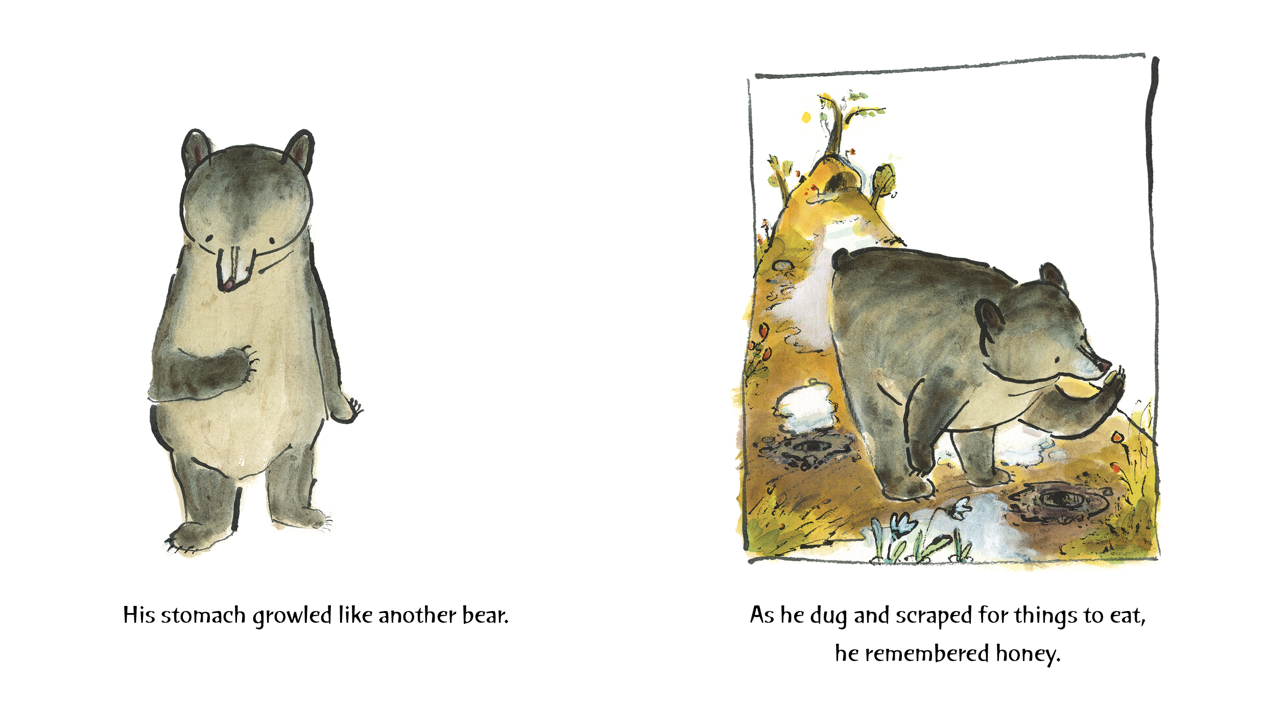 additional book photo