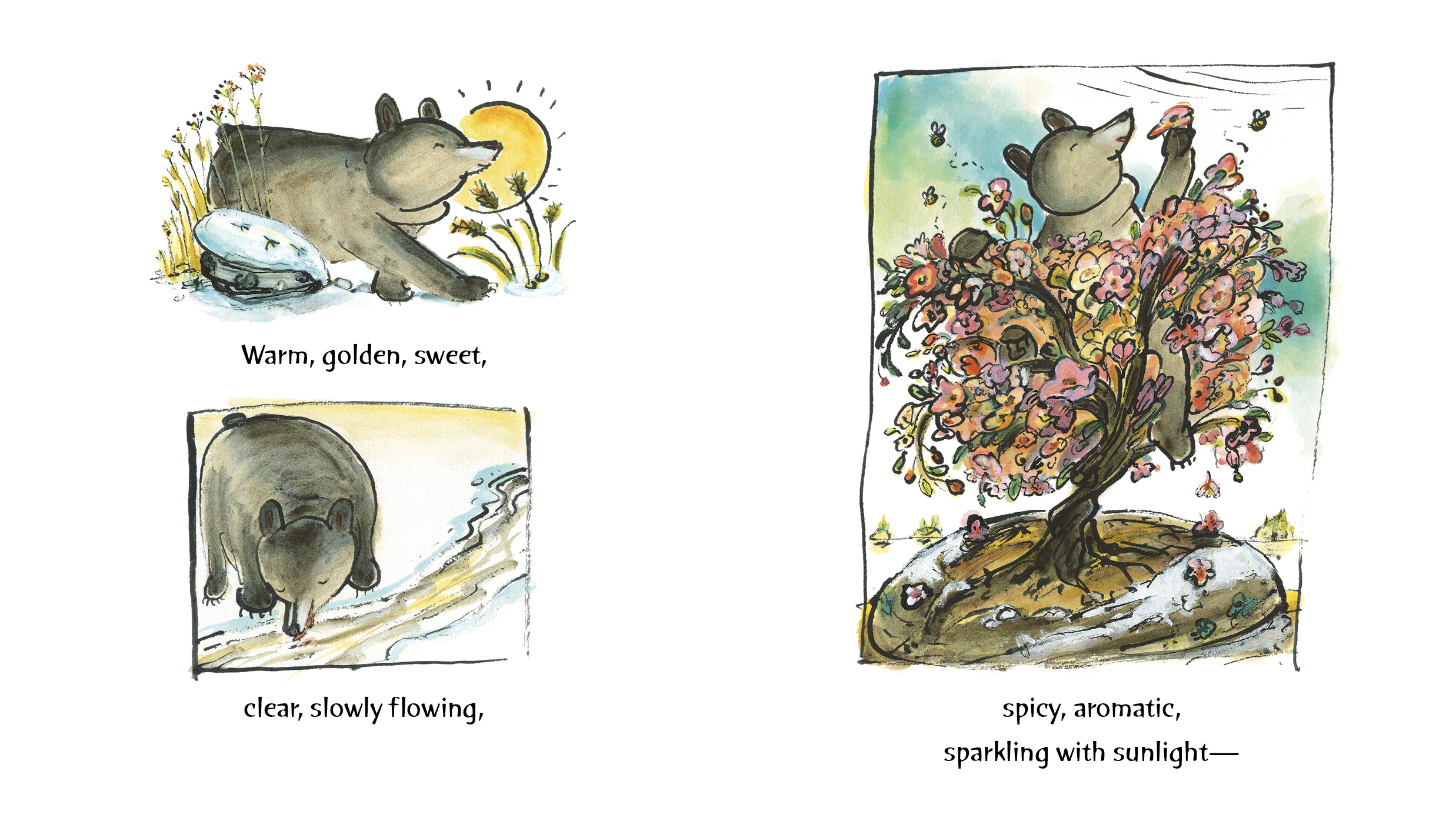 additional book photo