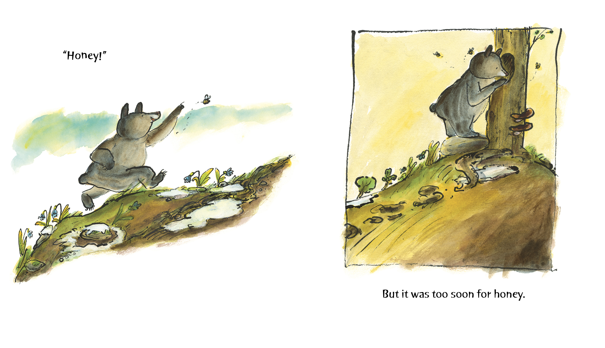 additional book photo