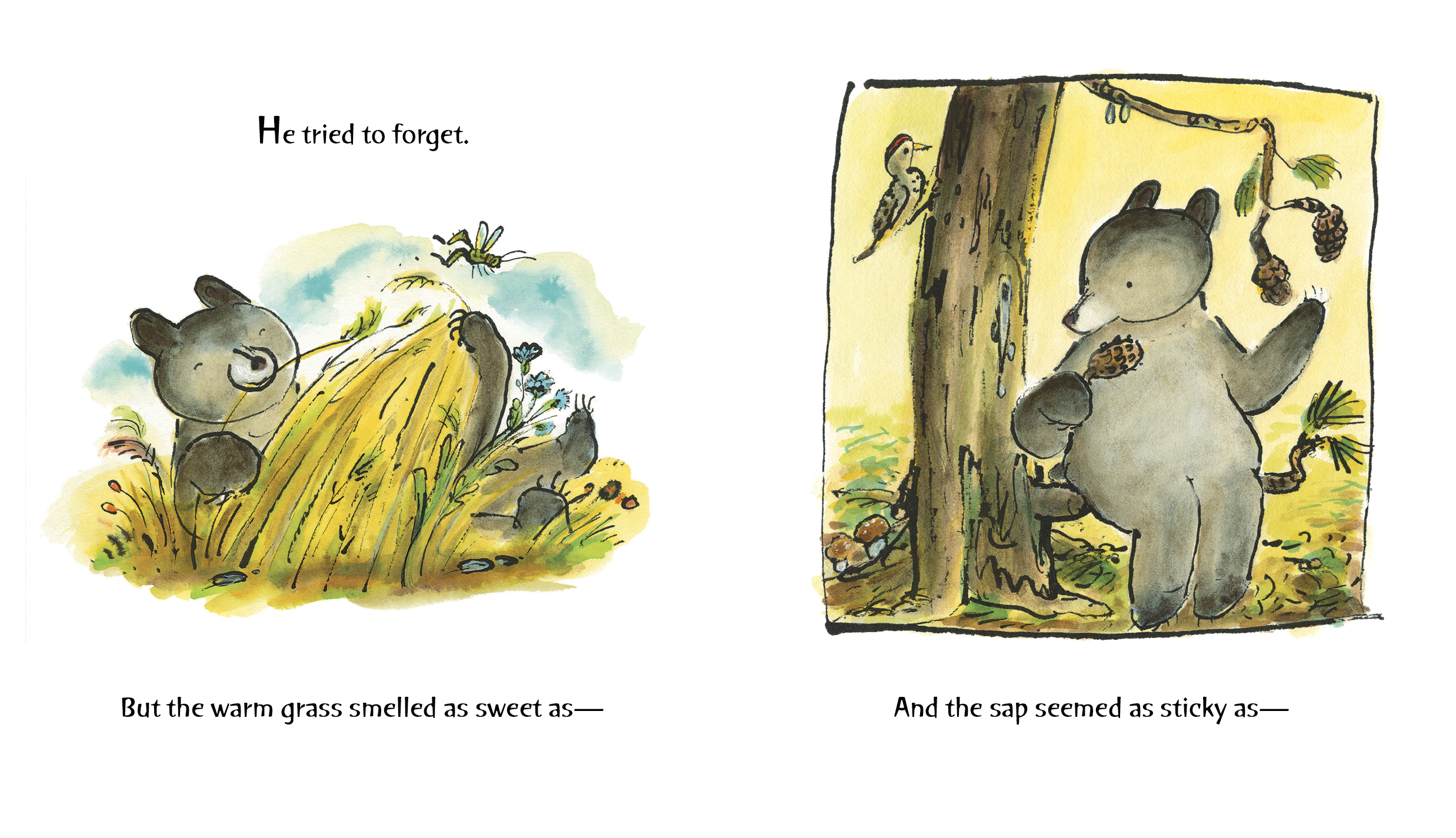 additional book photo