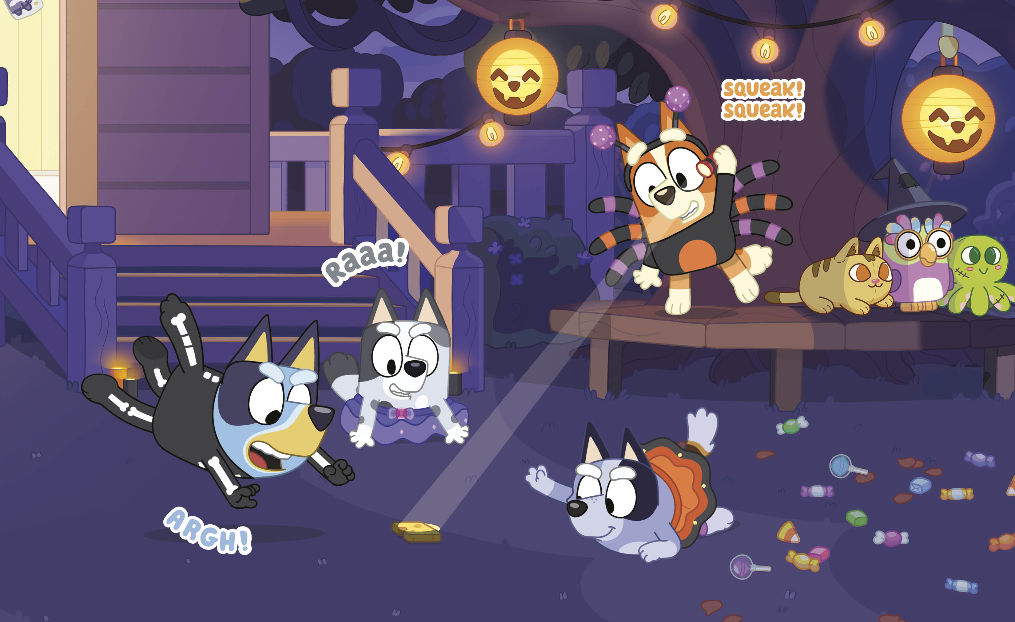 additional book photo