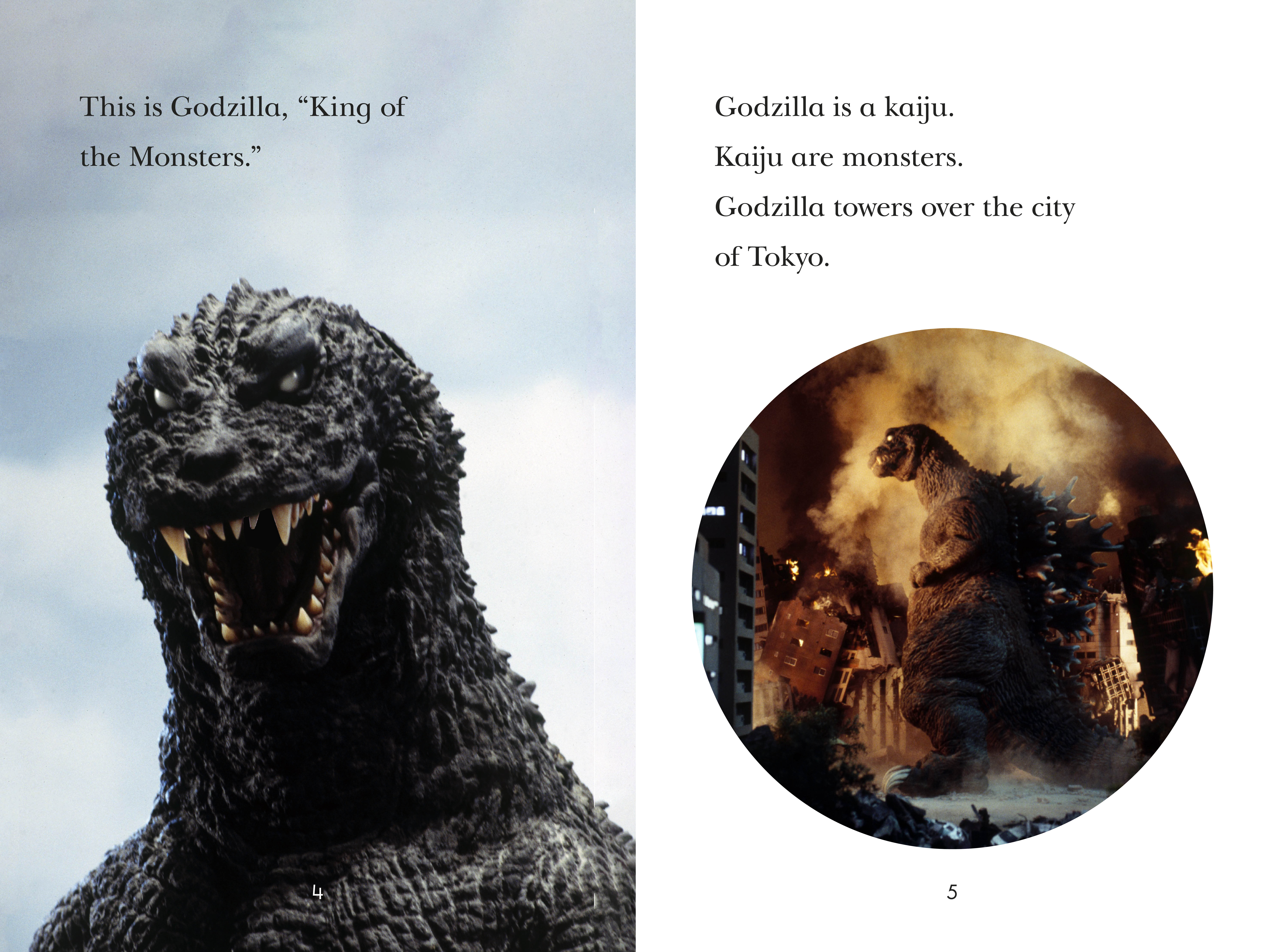 additional book photo