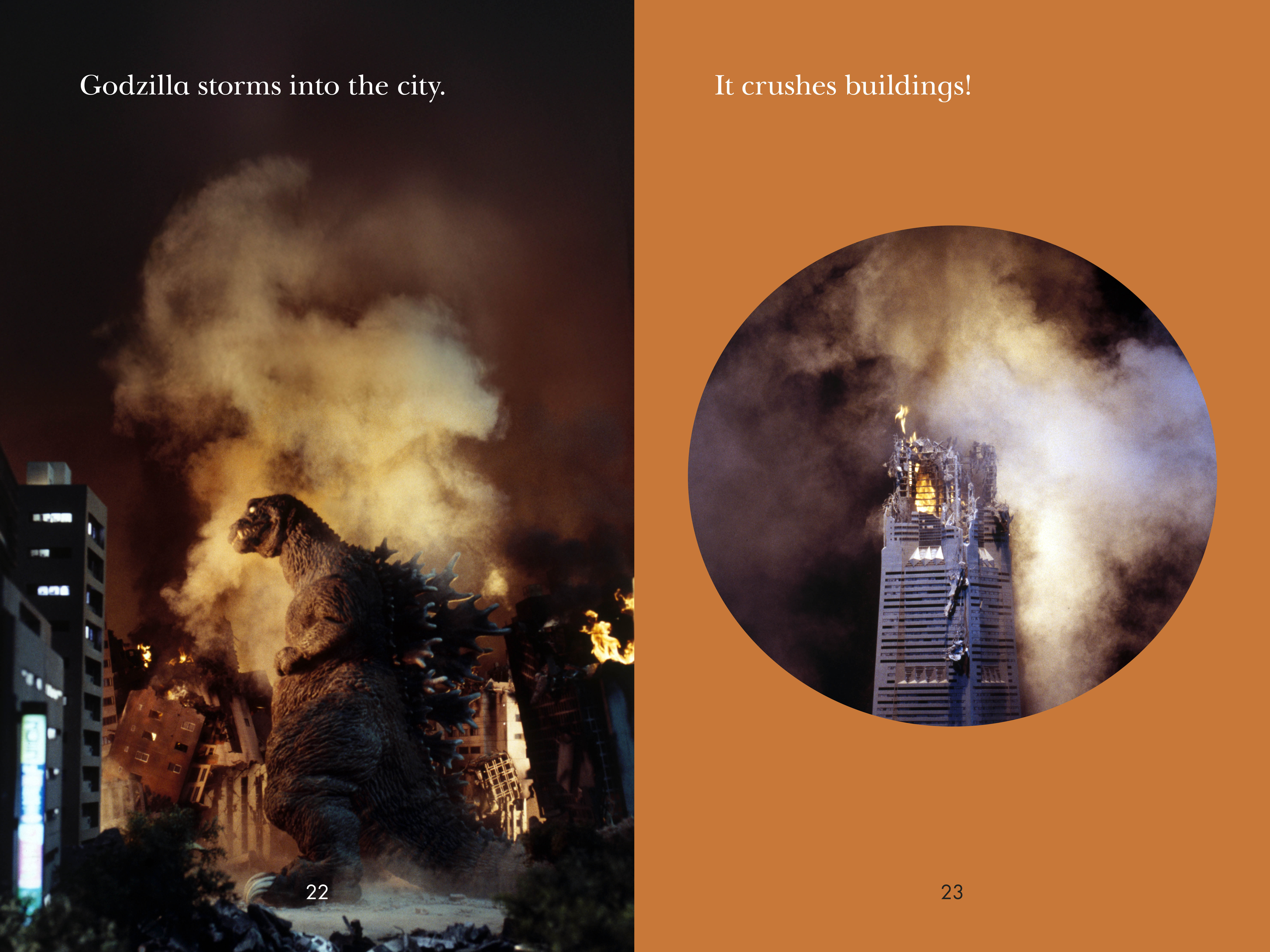 additional book photo