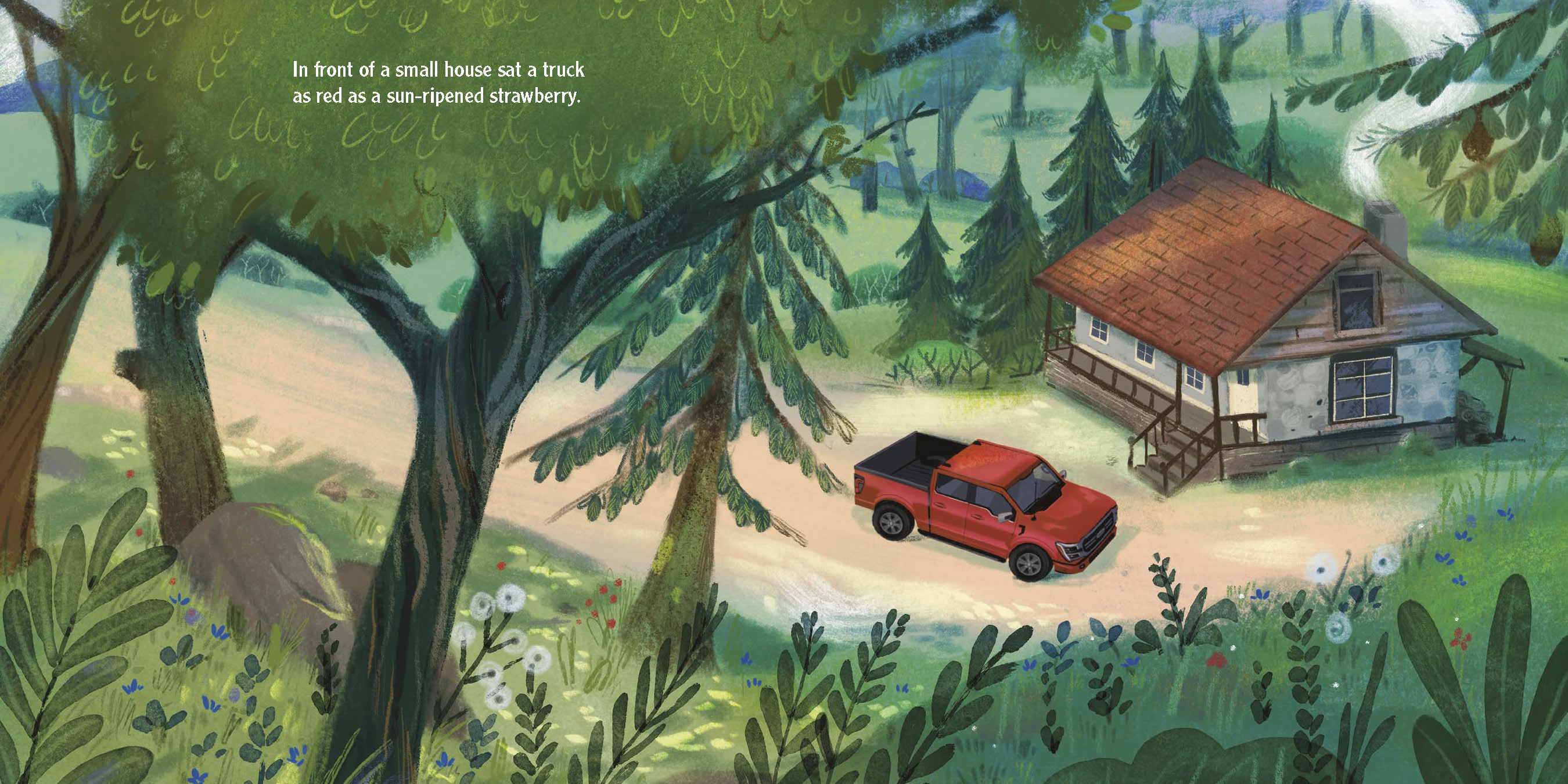 additional book photo