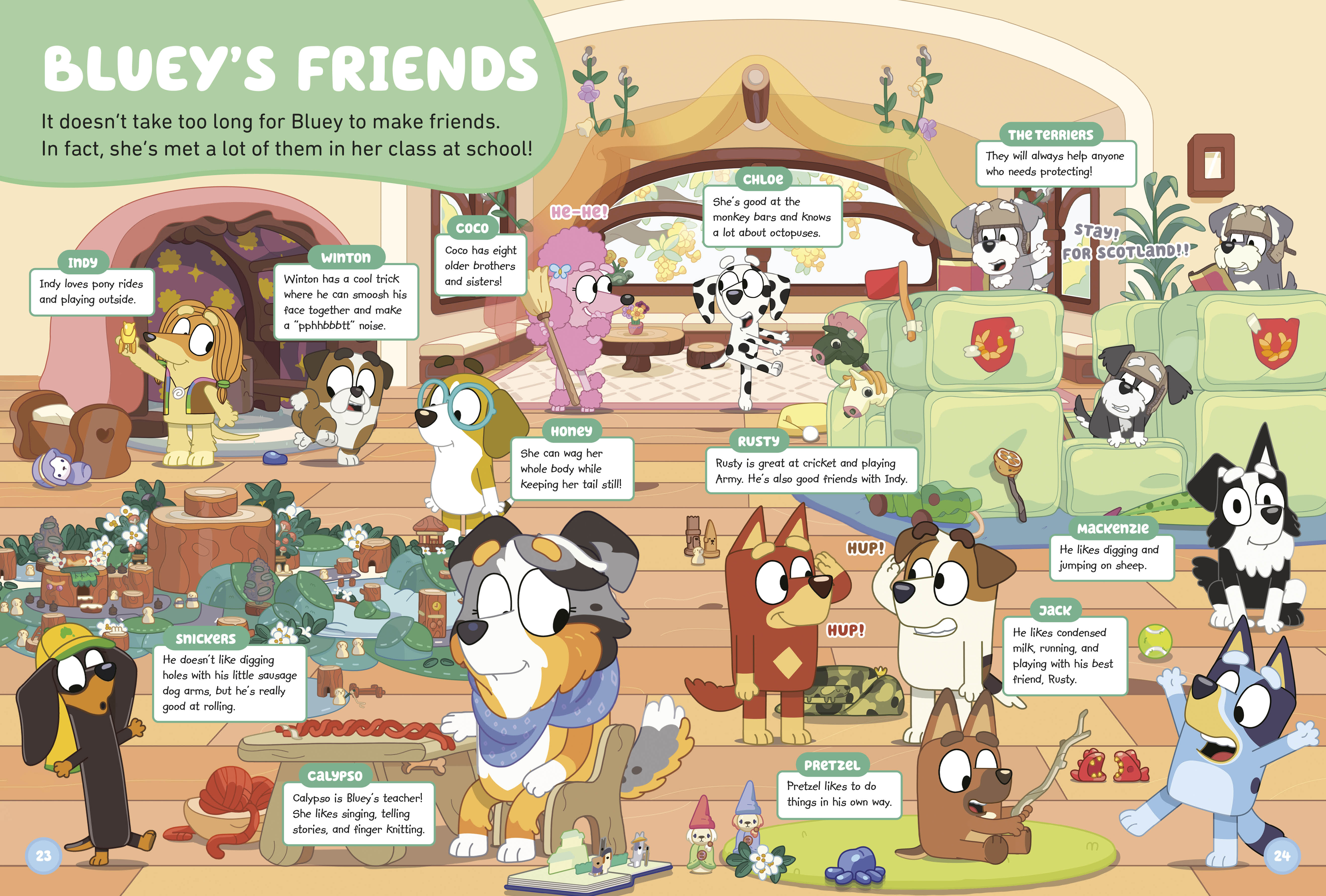 additional book photo