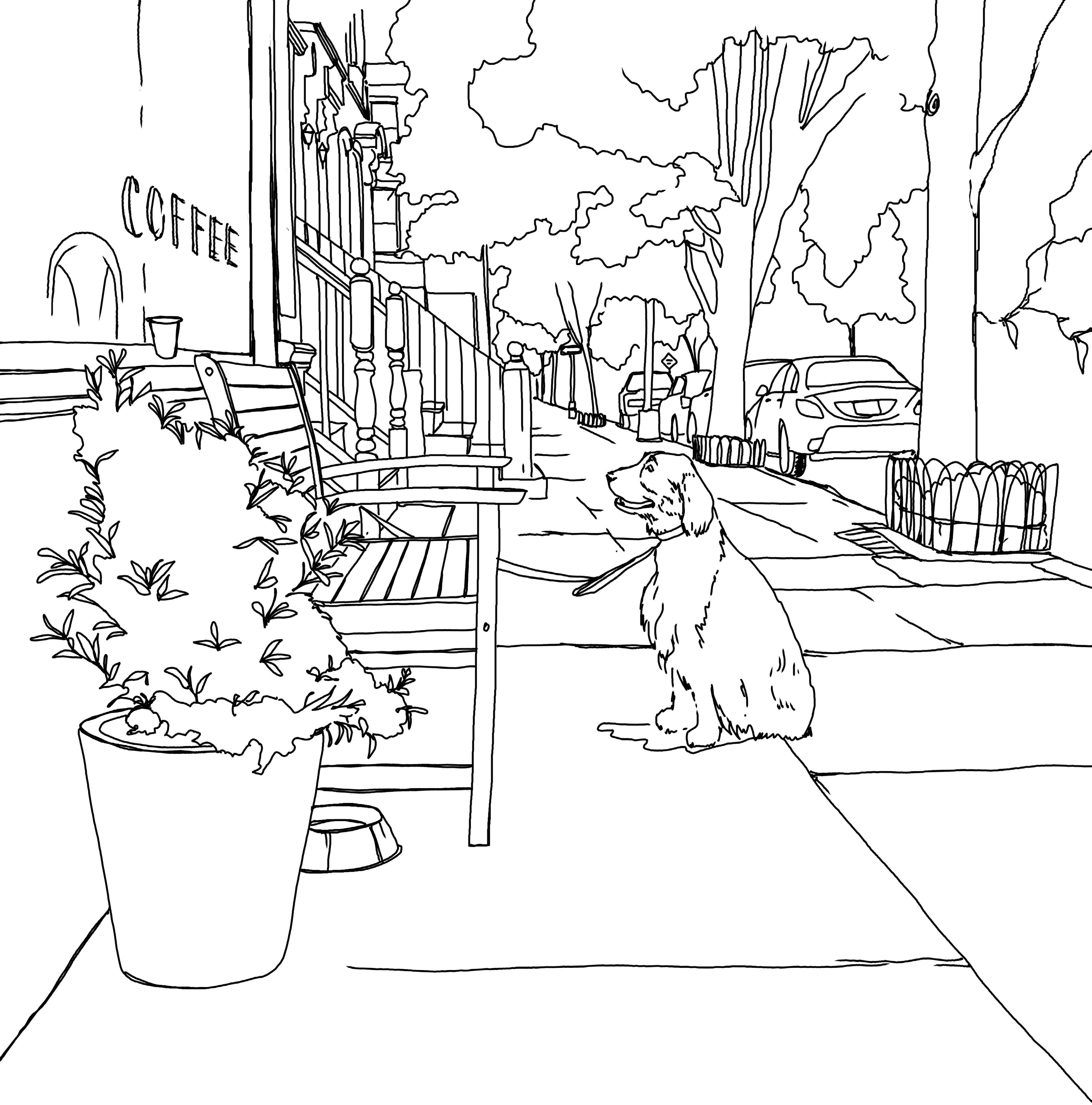 additional book photo