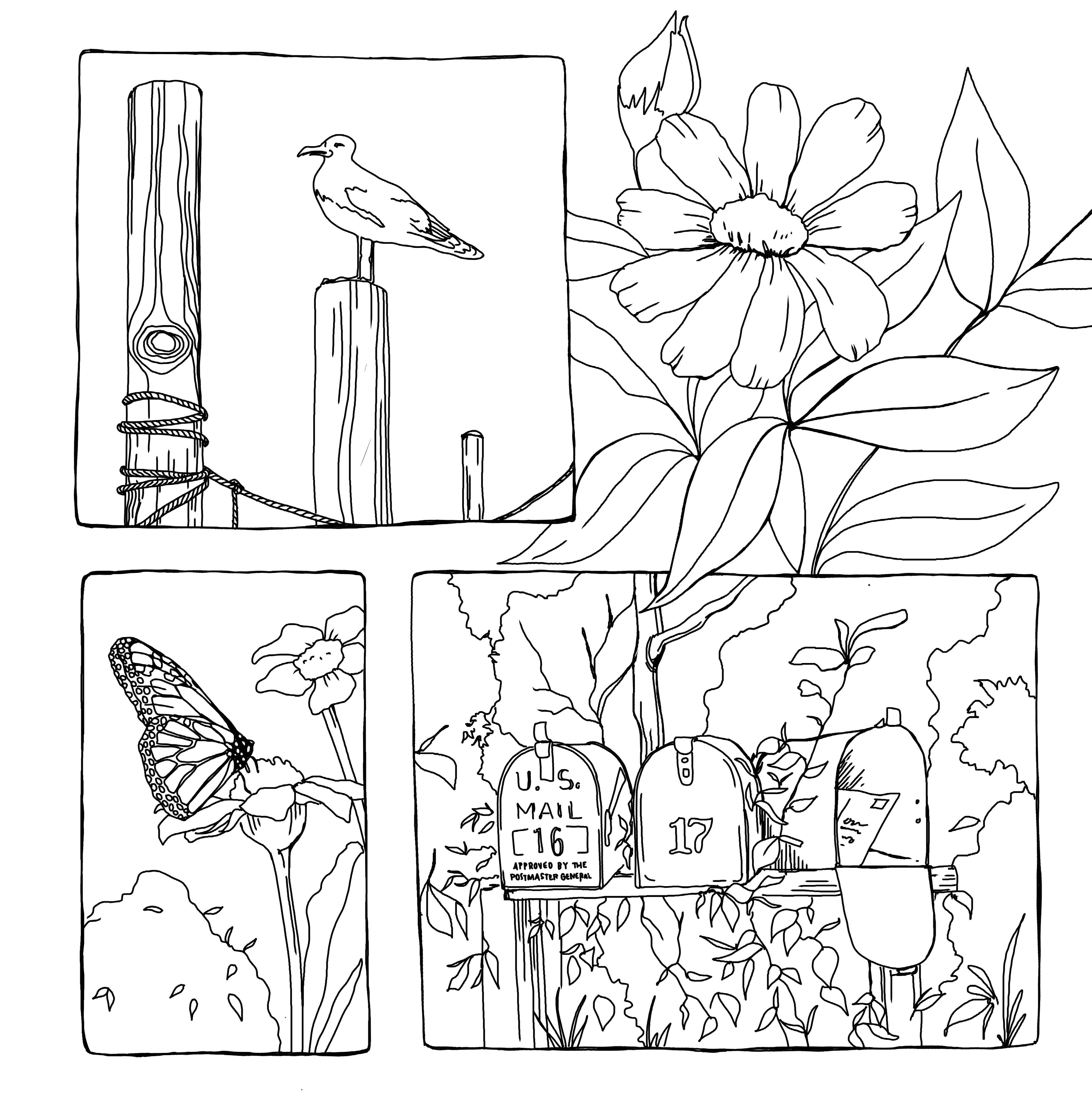 additional book photo