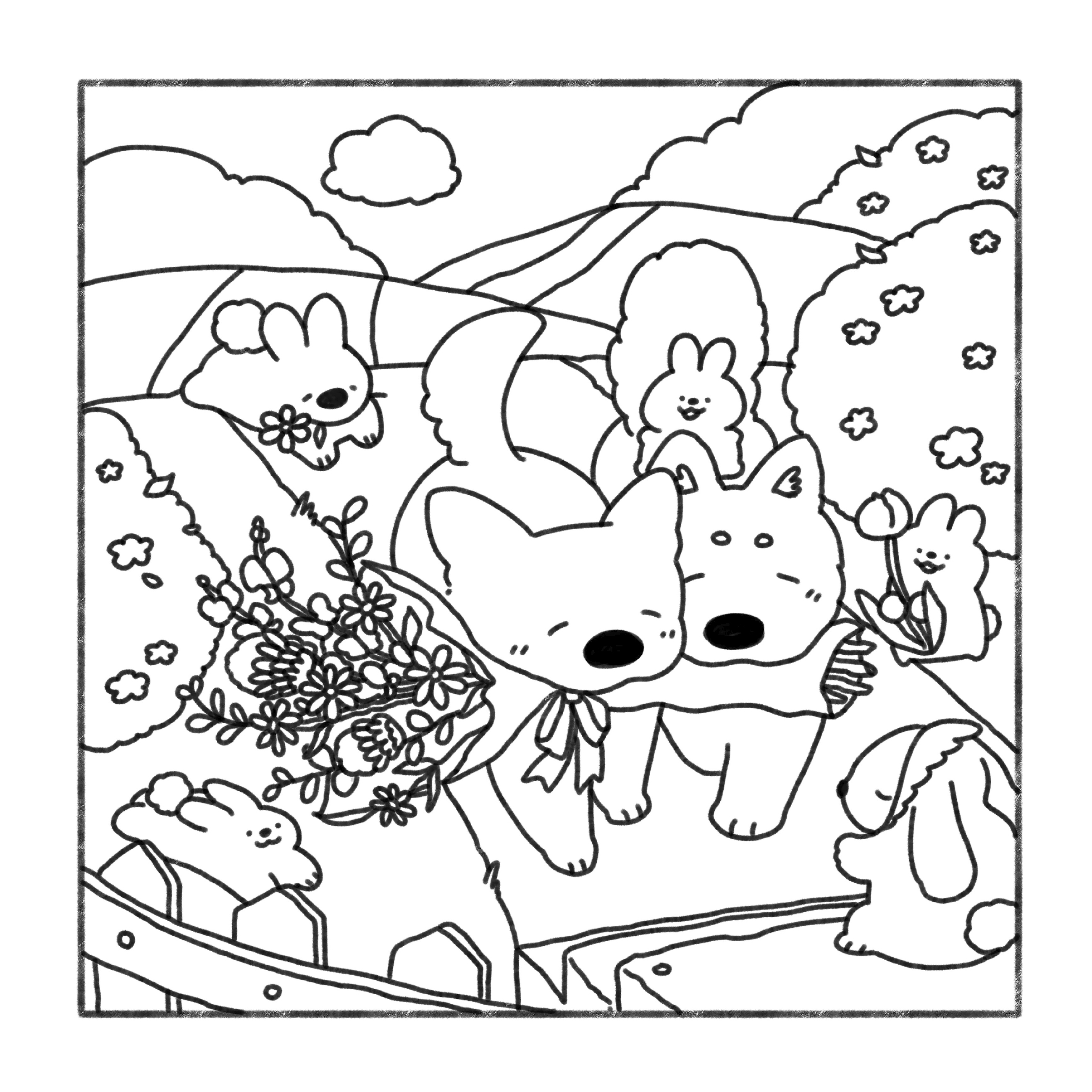 additional book photo