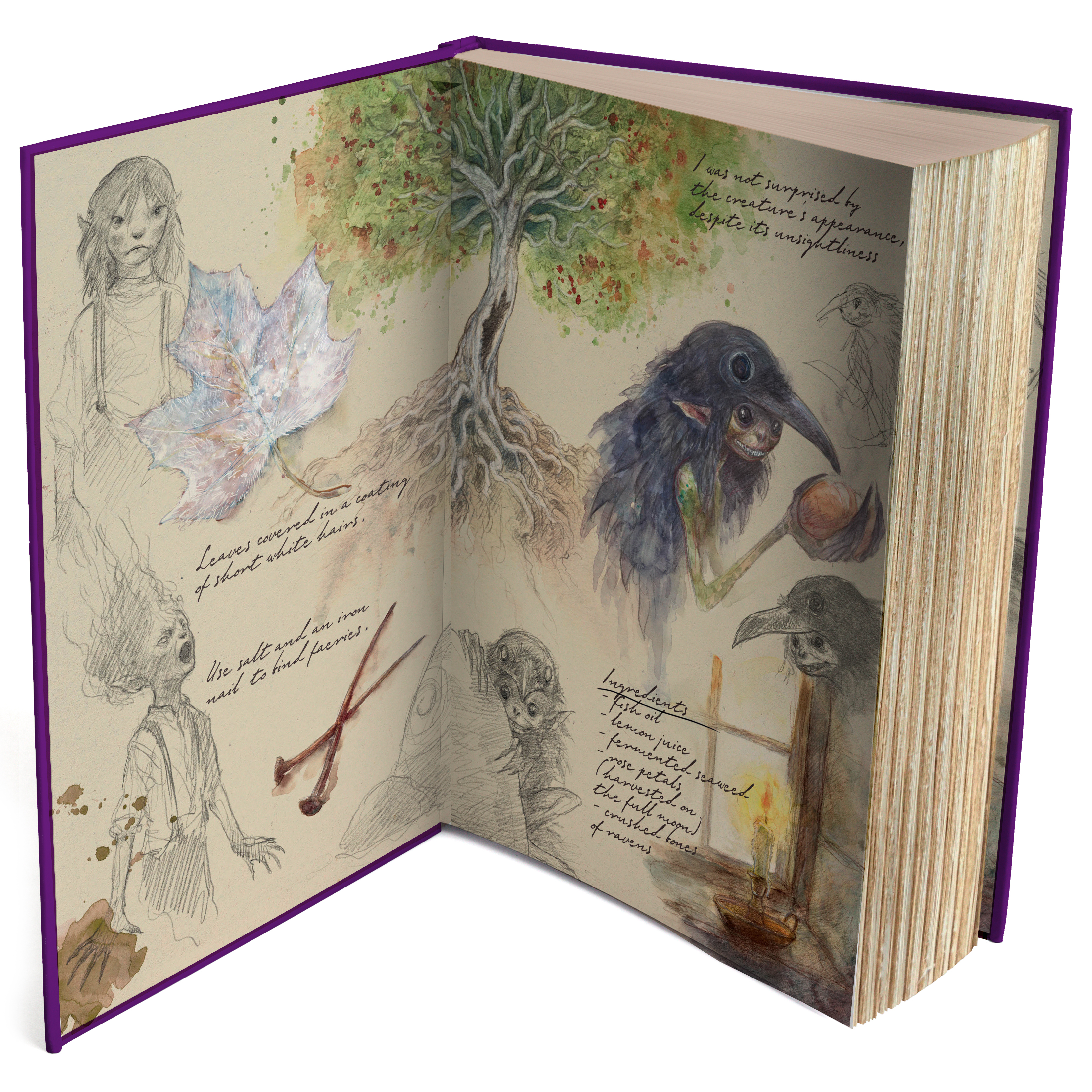 additional book photo