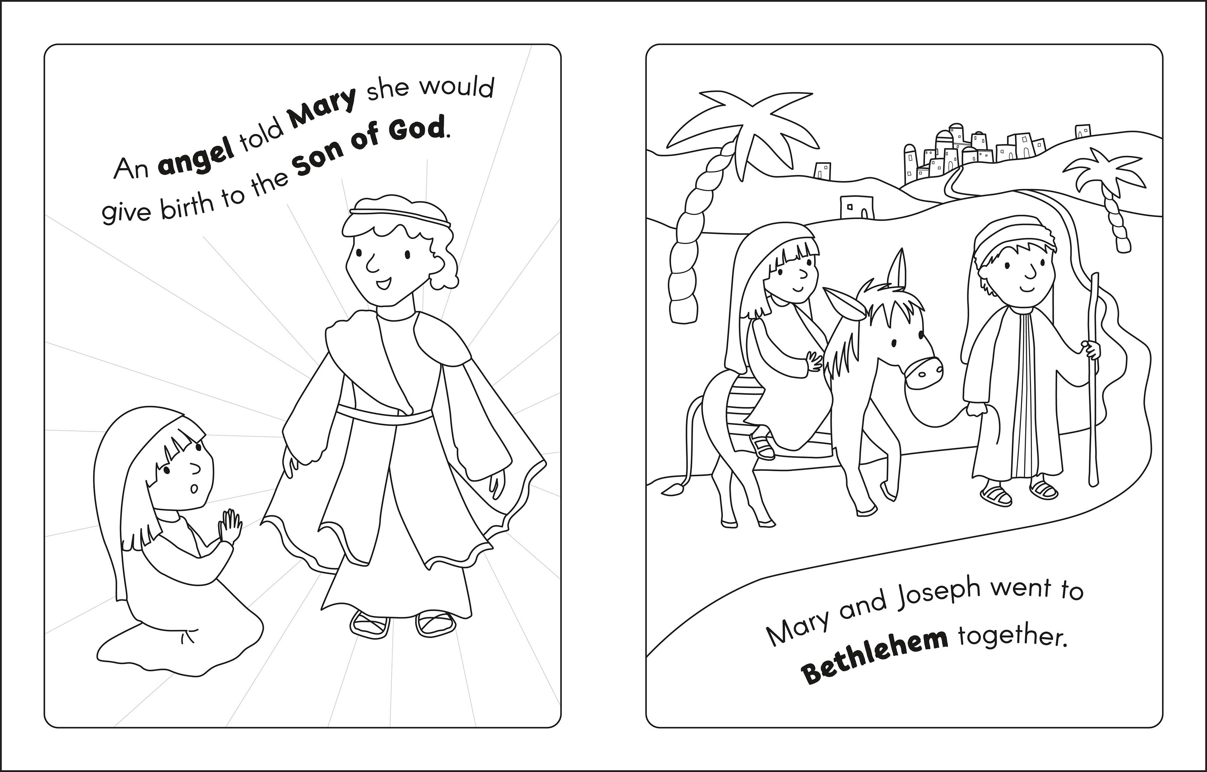 additional book photo