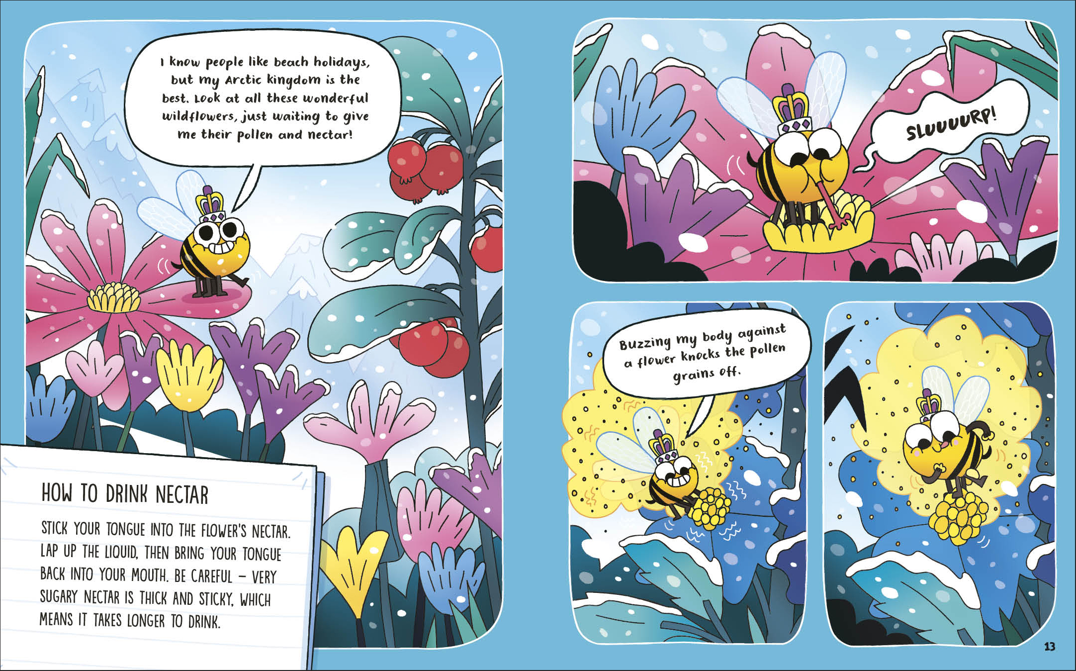additional book photo