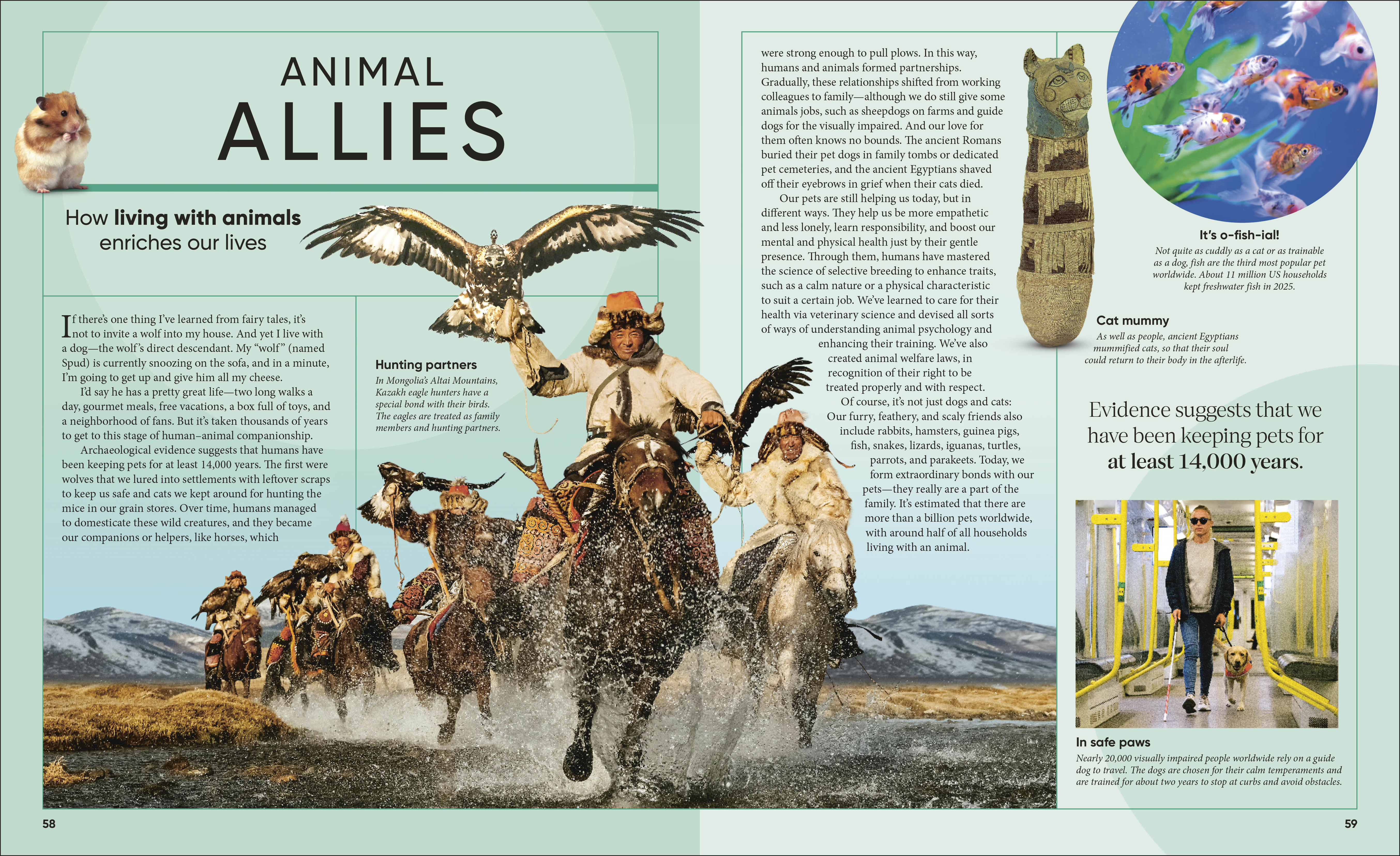 additional book photo