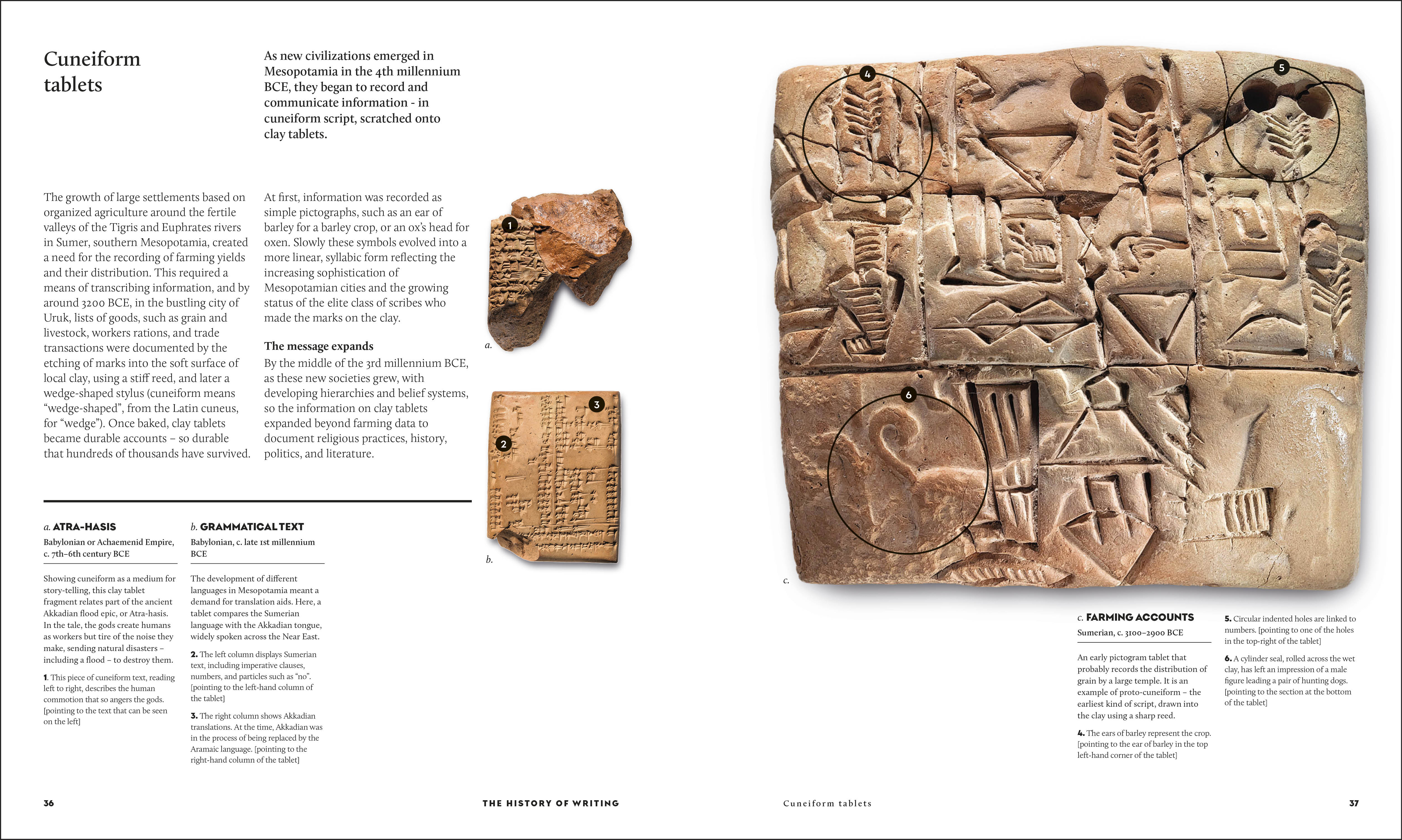 additional book photo