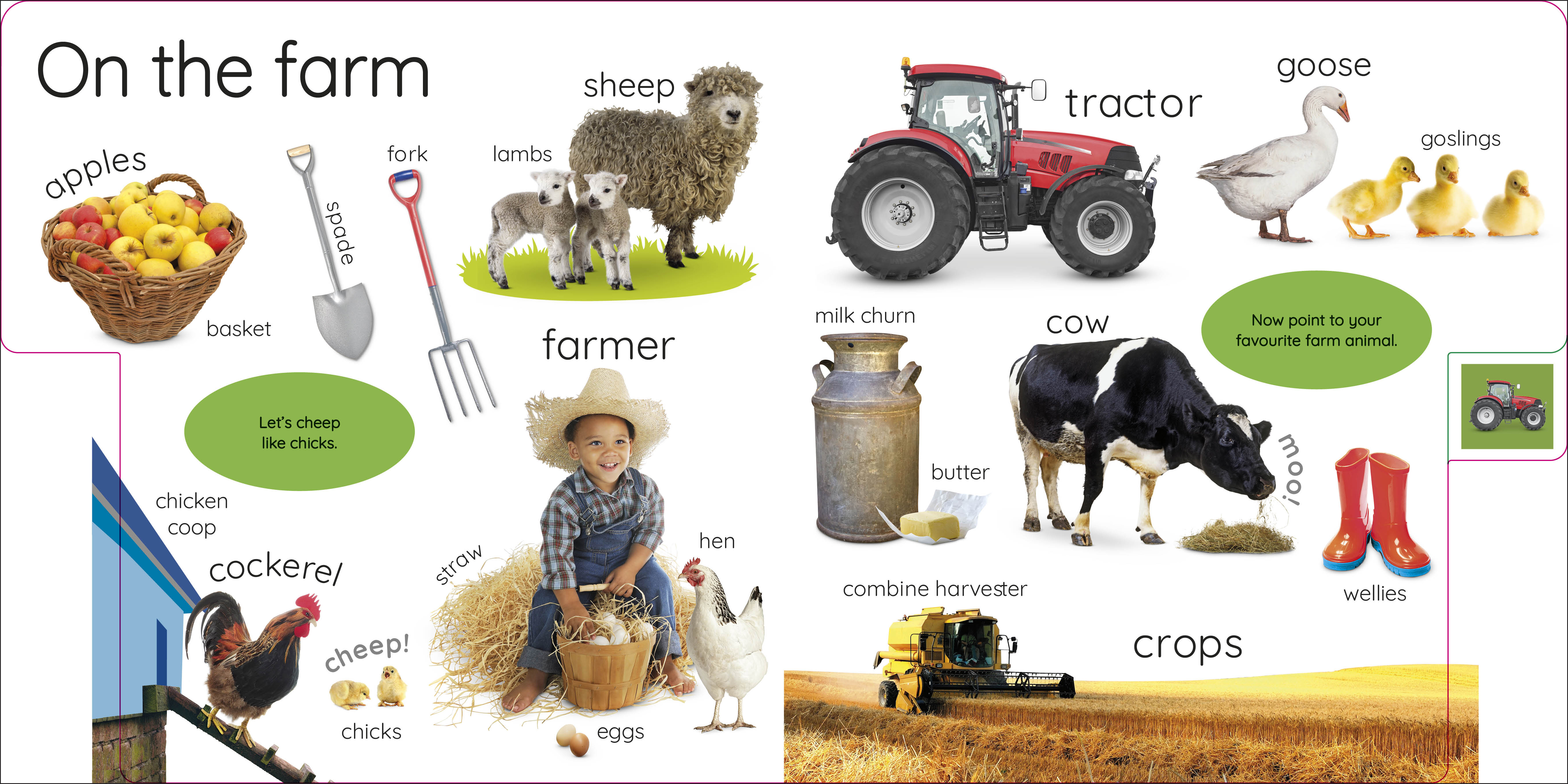 additional book photo