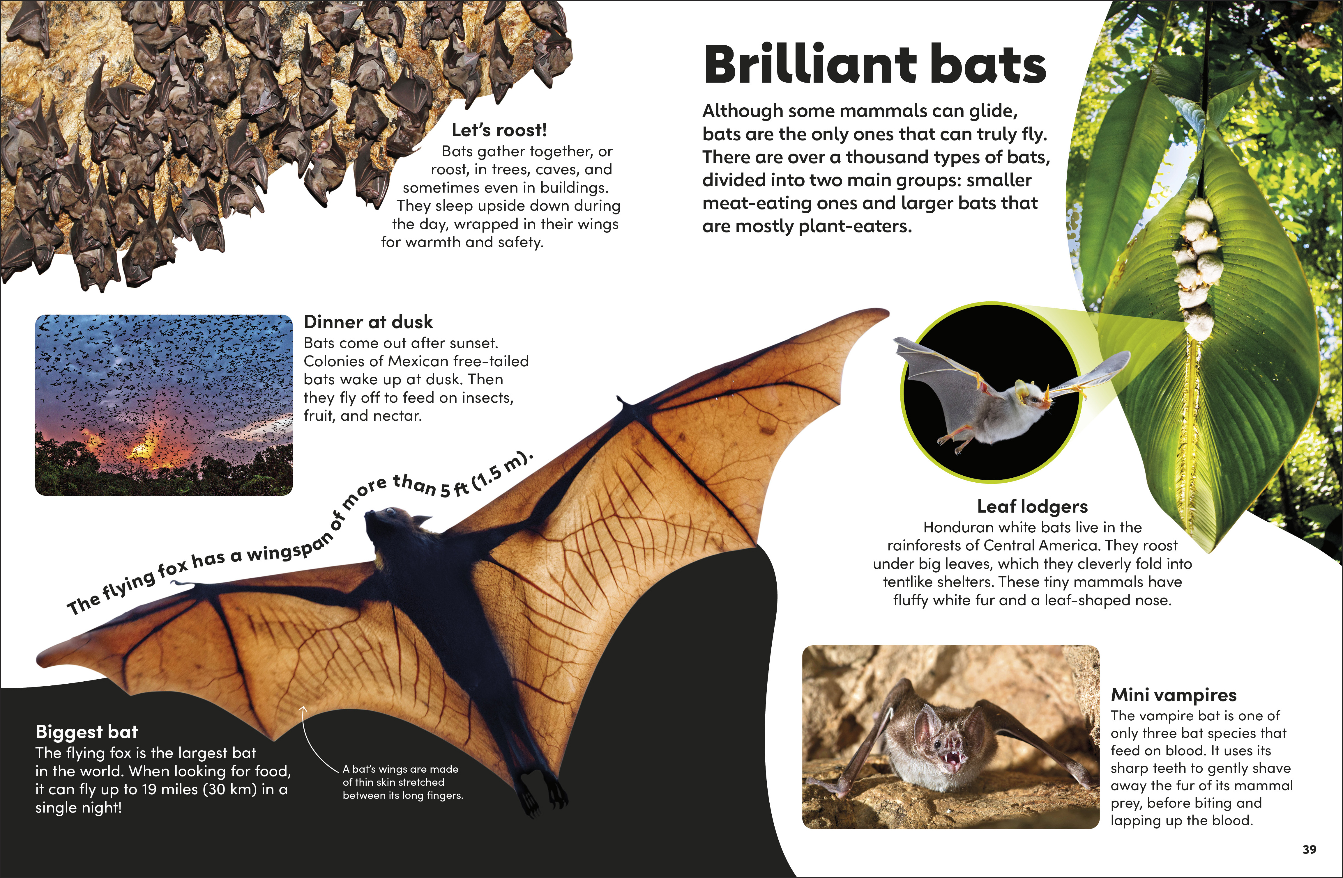 additional book photo