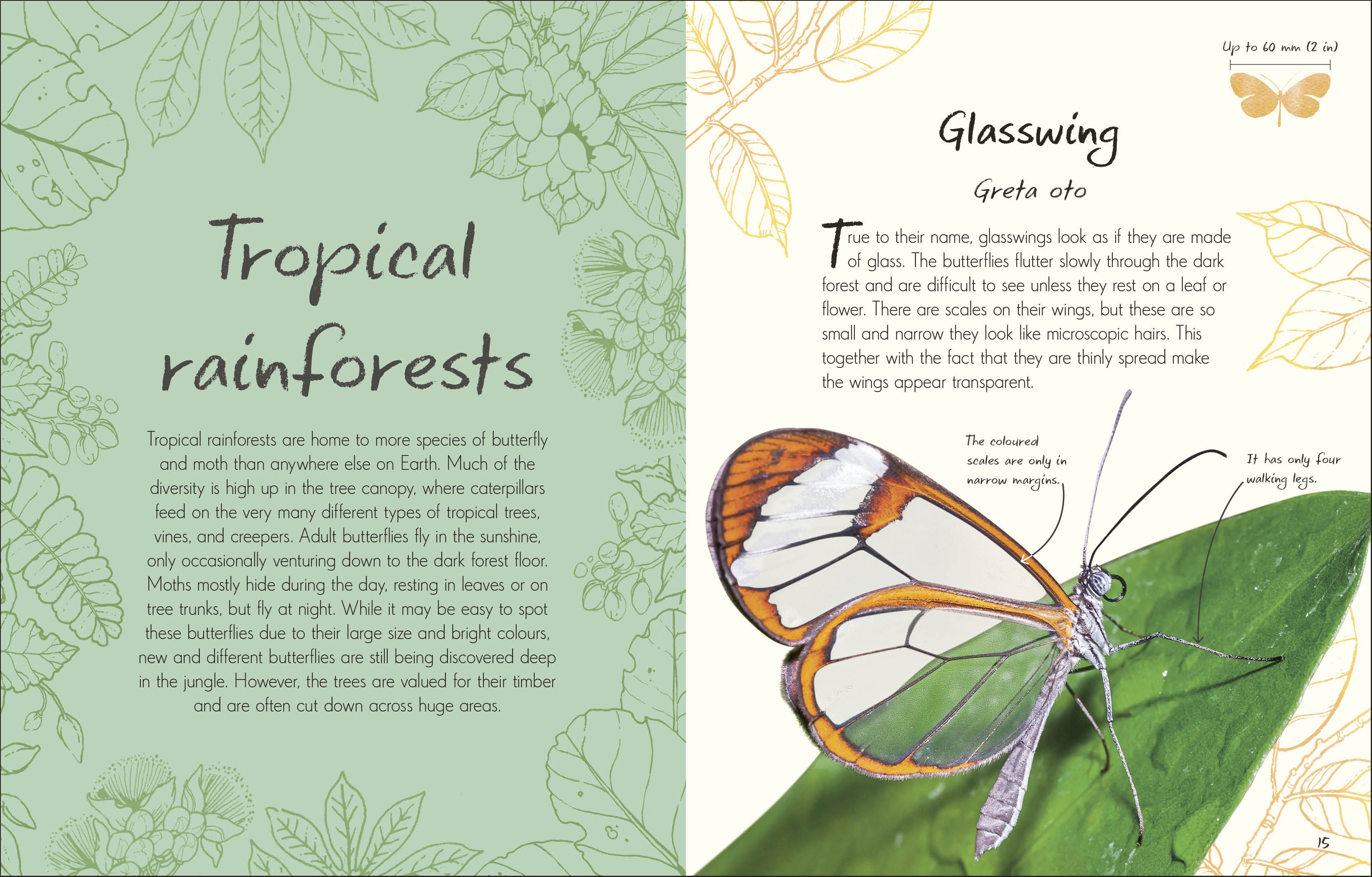 additional book photo