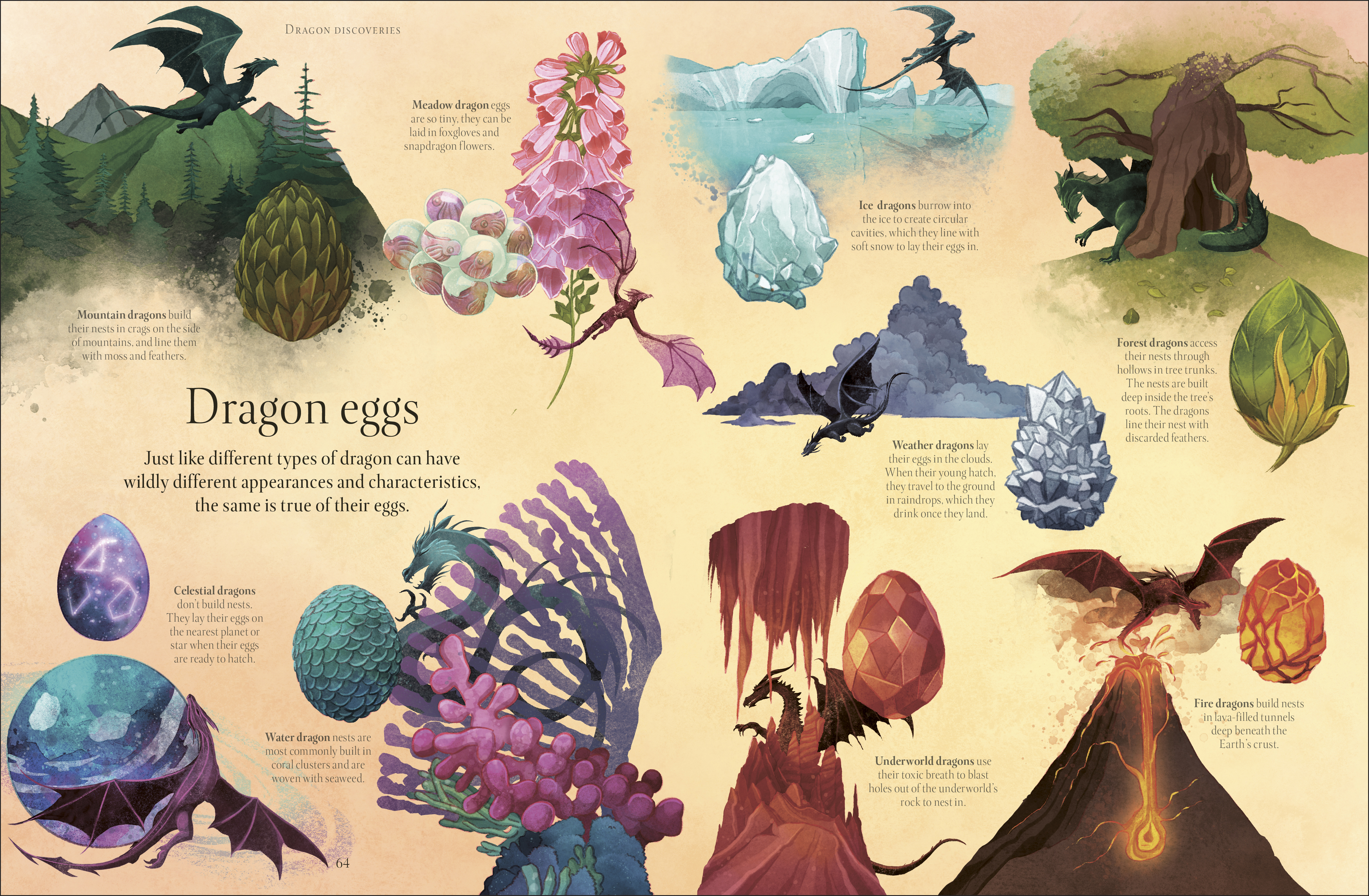 additional book photo