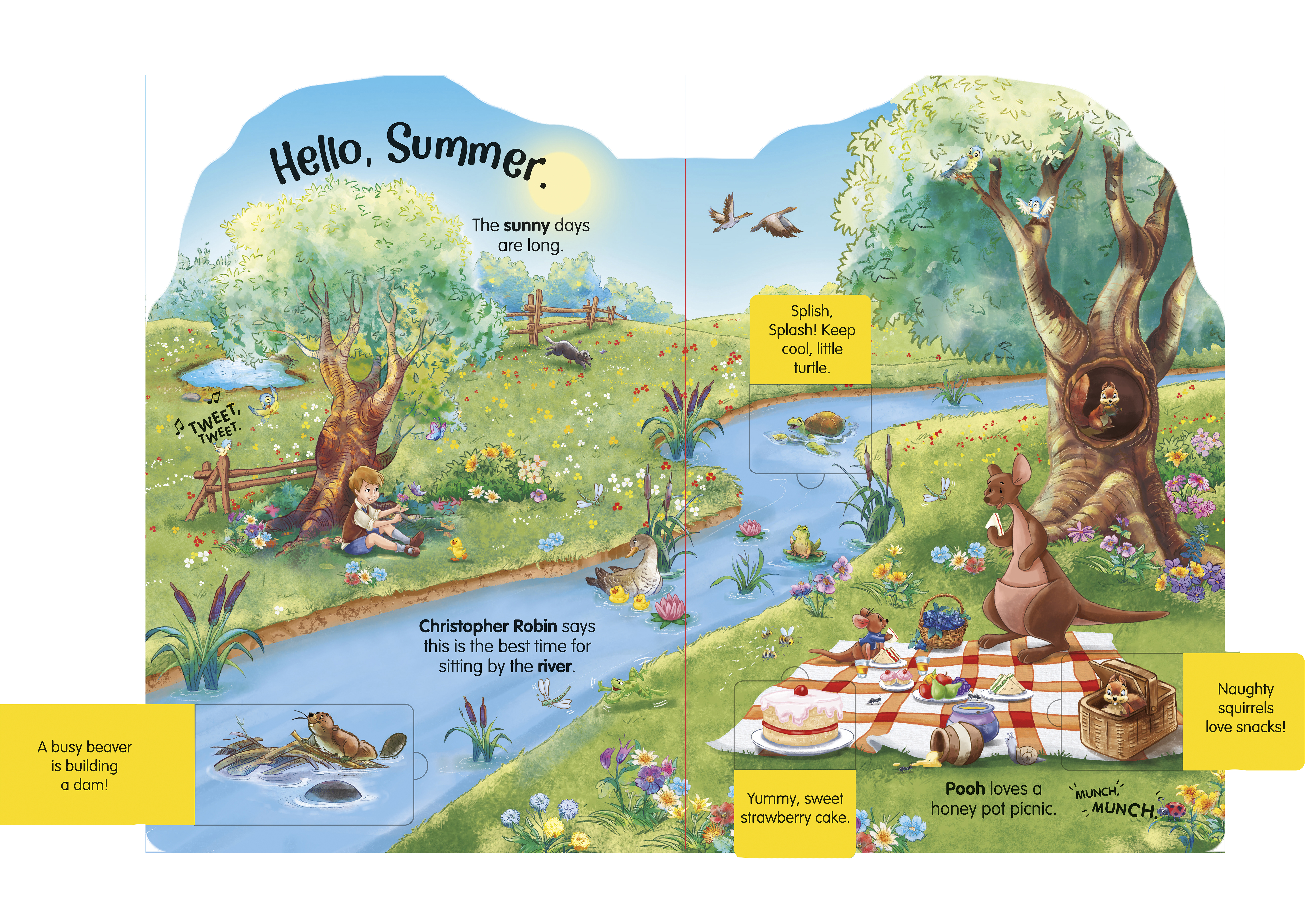additional book photo