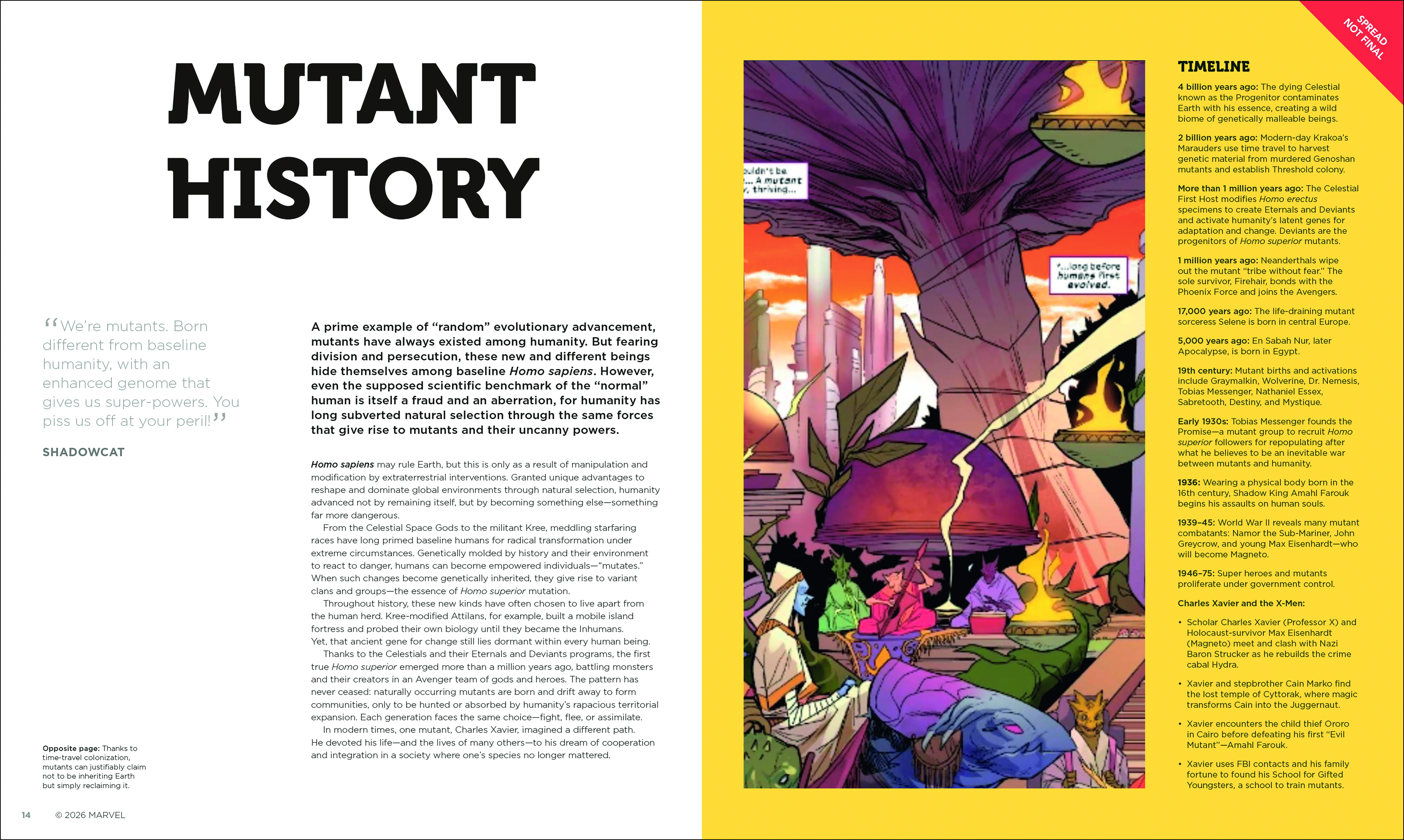 additional book photo