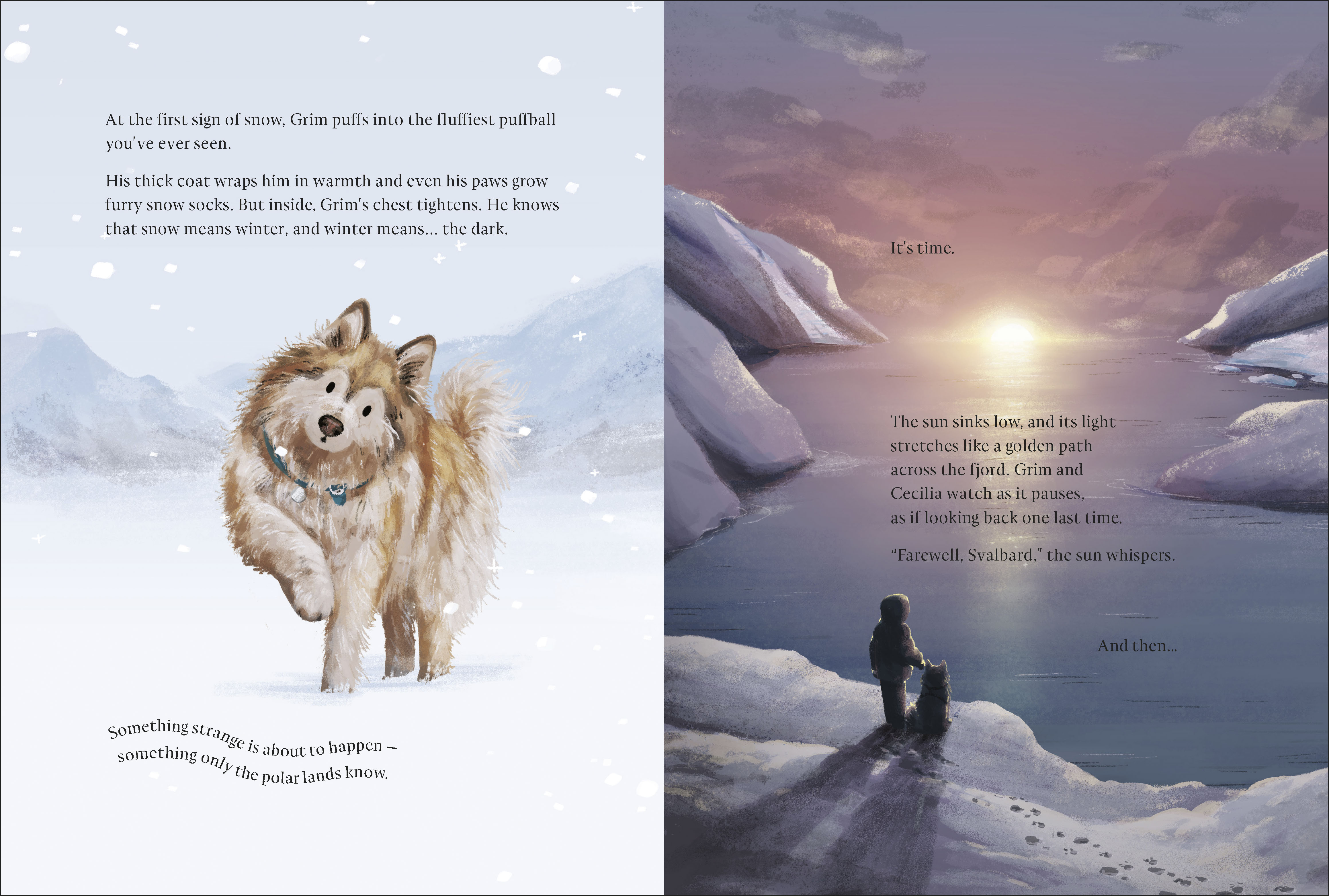 additional book photo