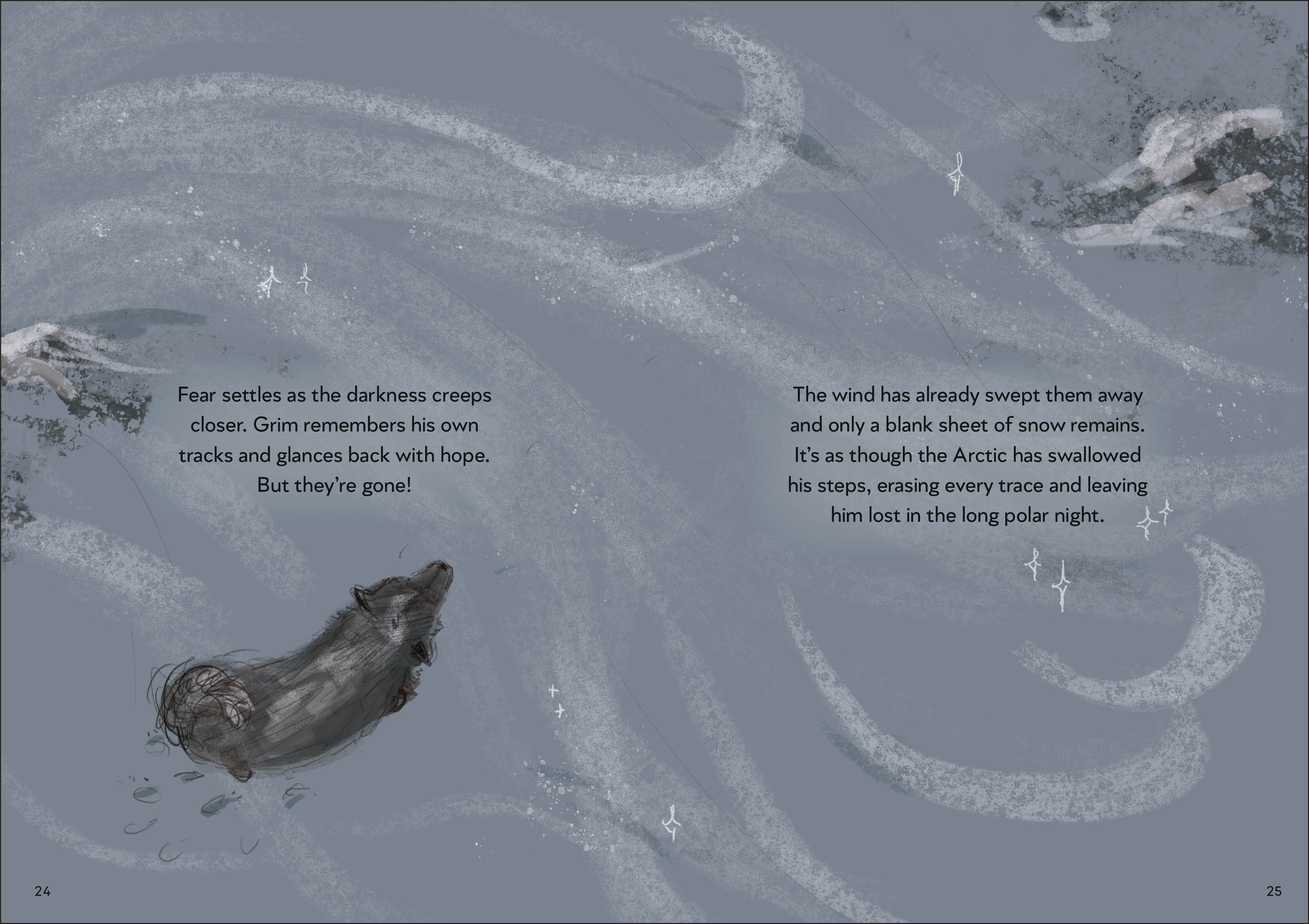 additional book photo